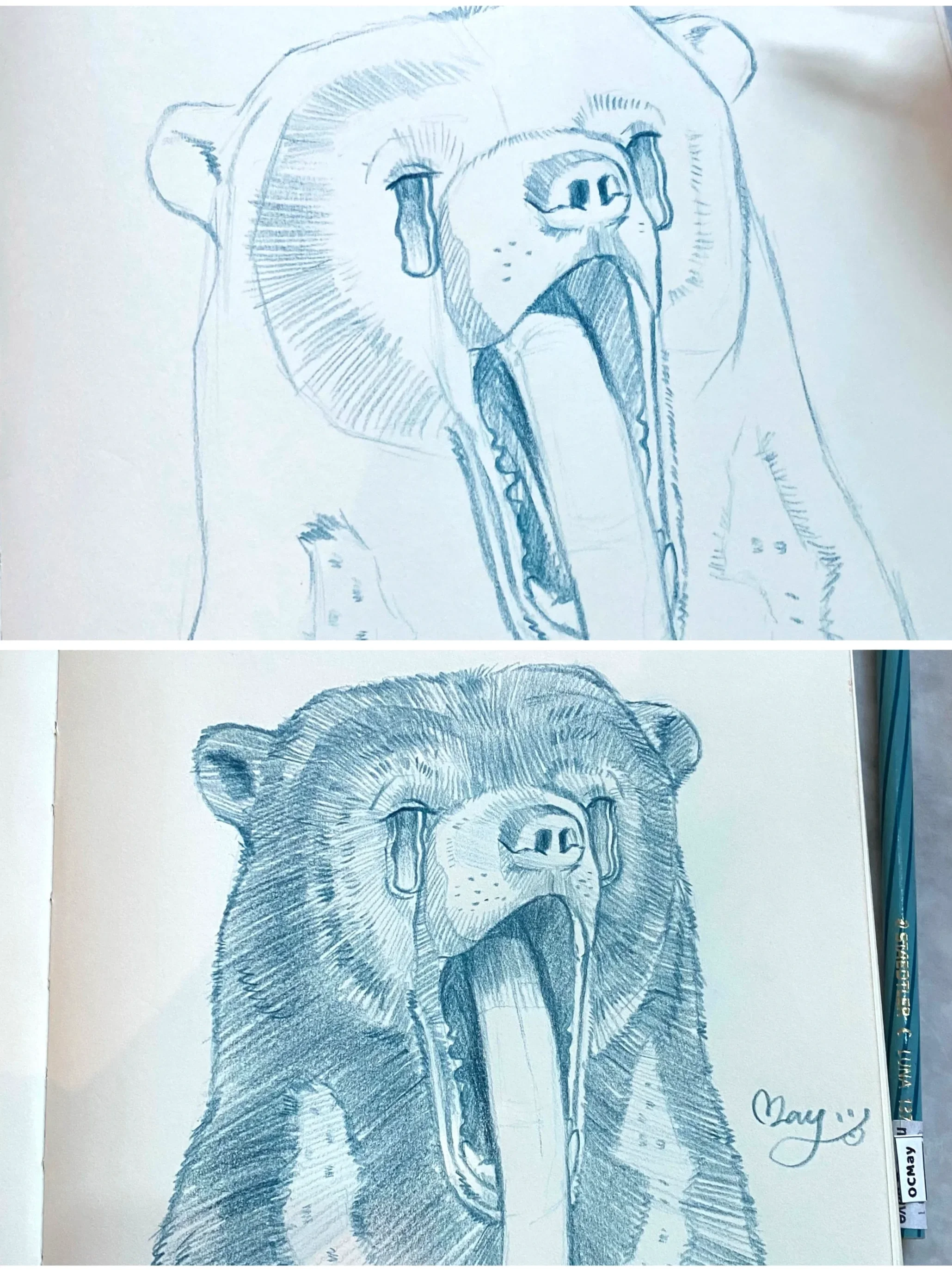 OCMay's hand sketching, Malayan Sun Bear