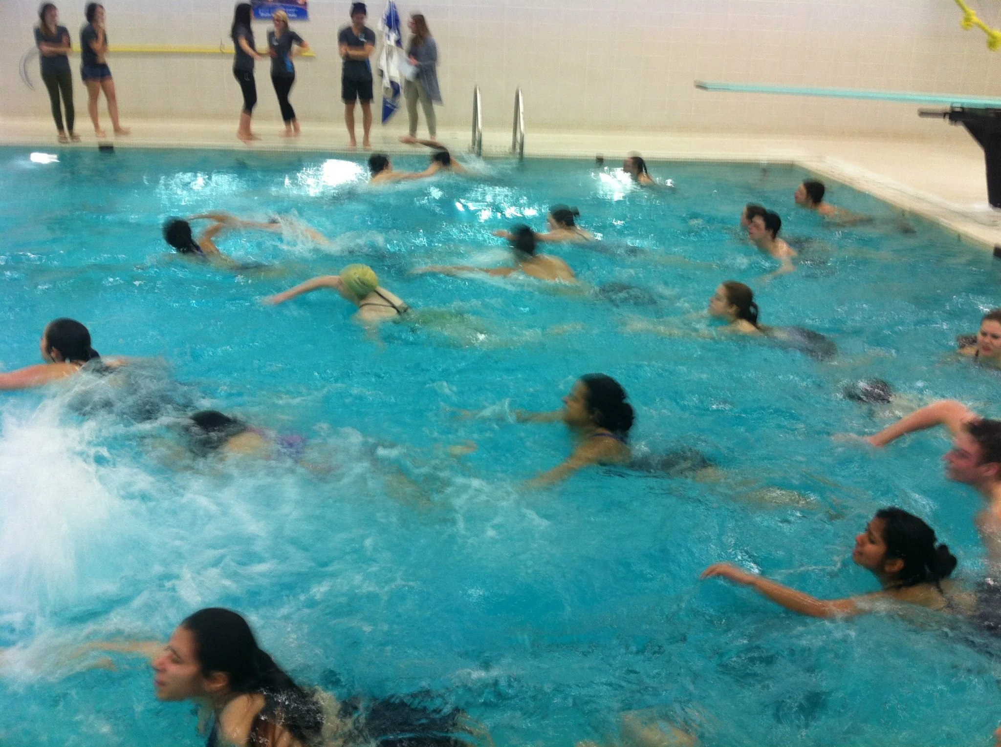 SWAM Ottawa volunteers swimming at an in-water training