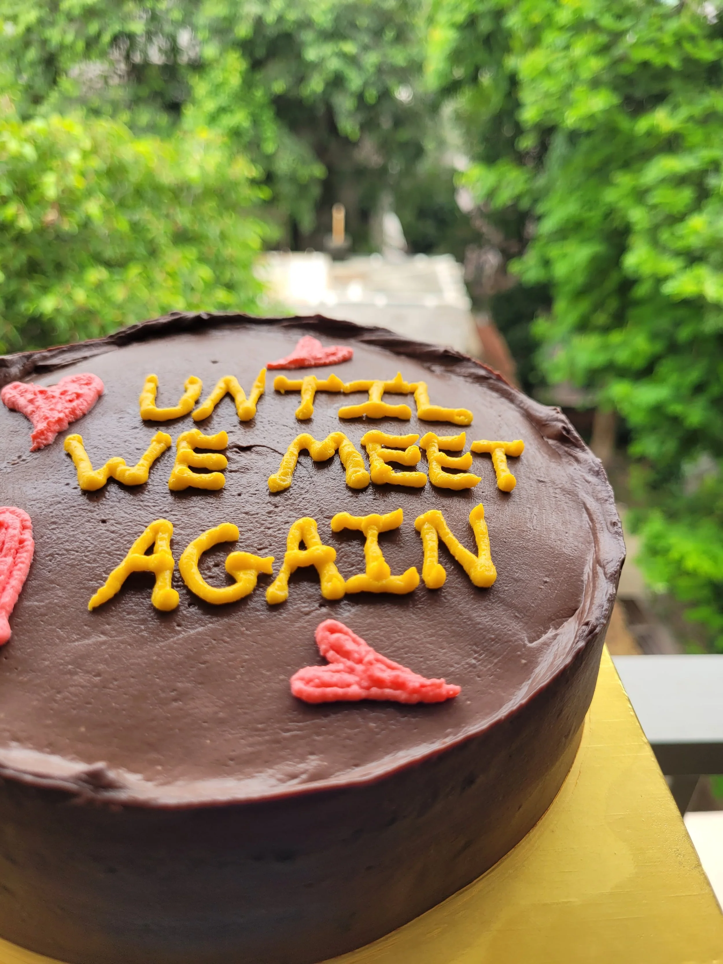 A chocolate cake with yellow and pink icing decorations that says 'Until We Meet Again' on top, with a blurred outdoor background of green trees.