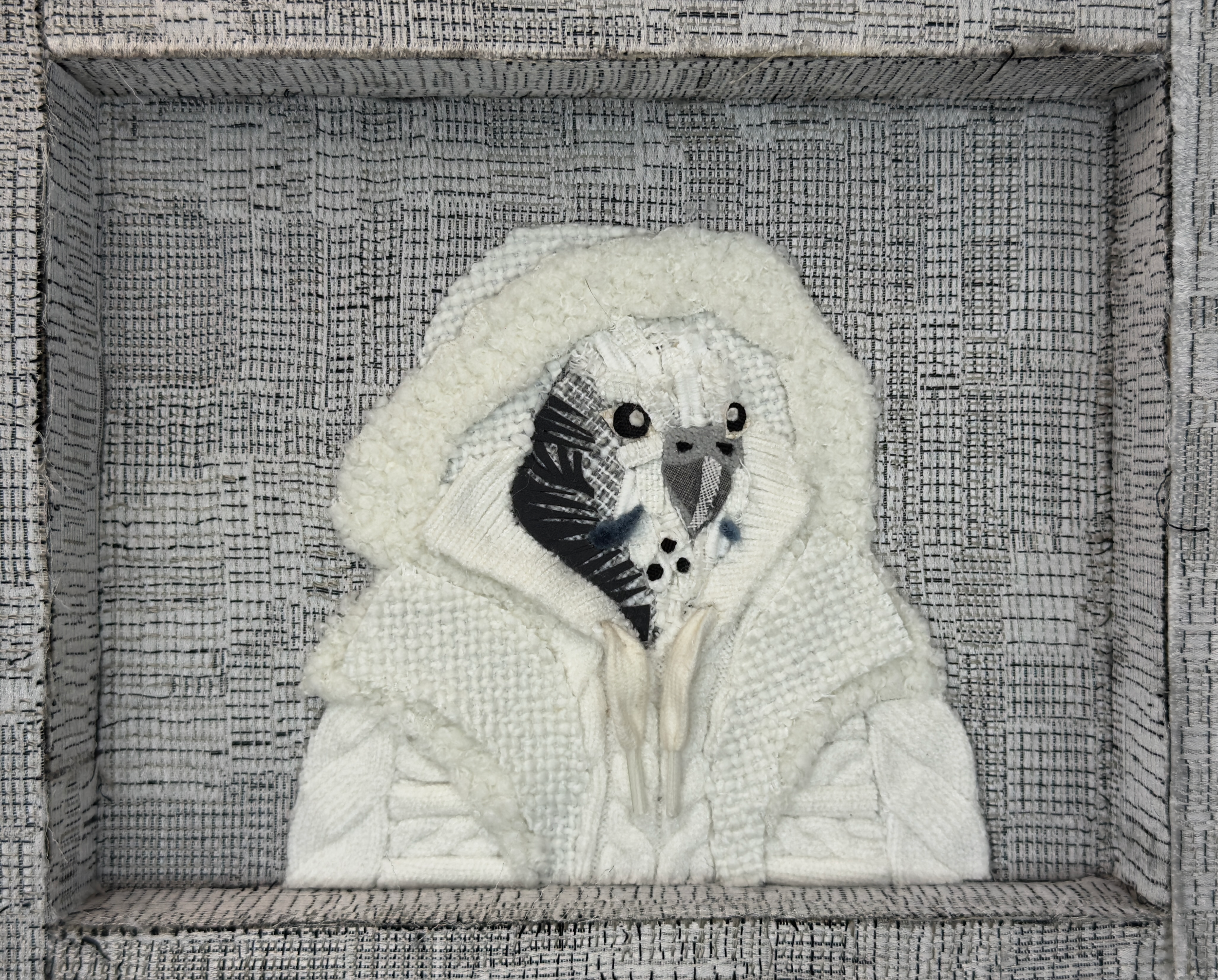 Winter Budgie 3