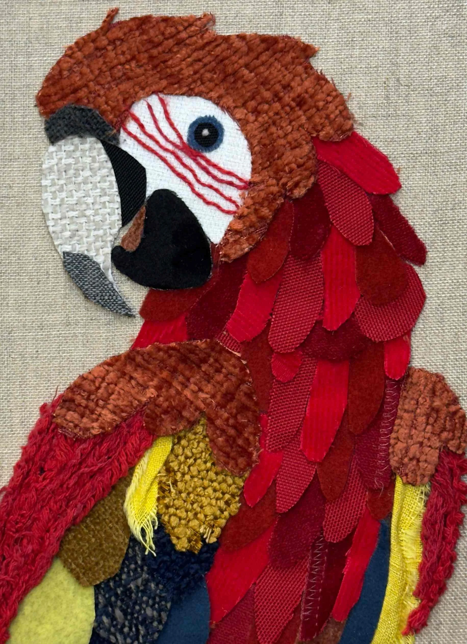 Scarlet Macaw
