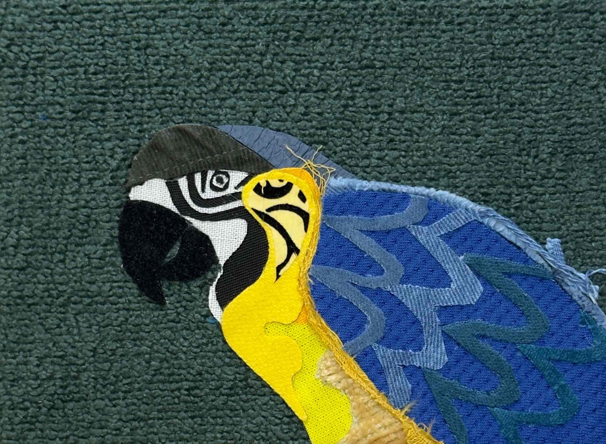 Blue & Yellow Macaw