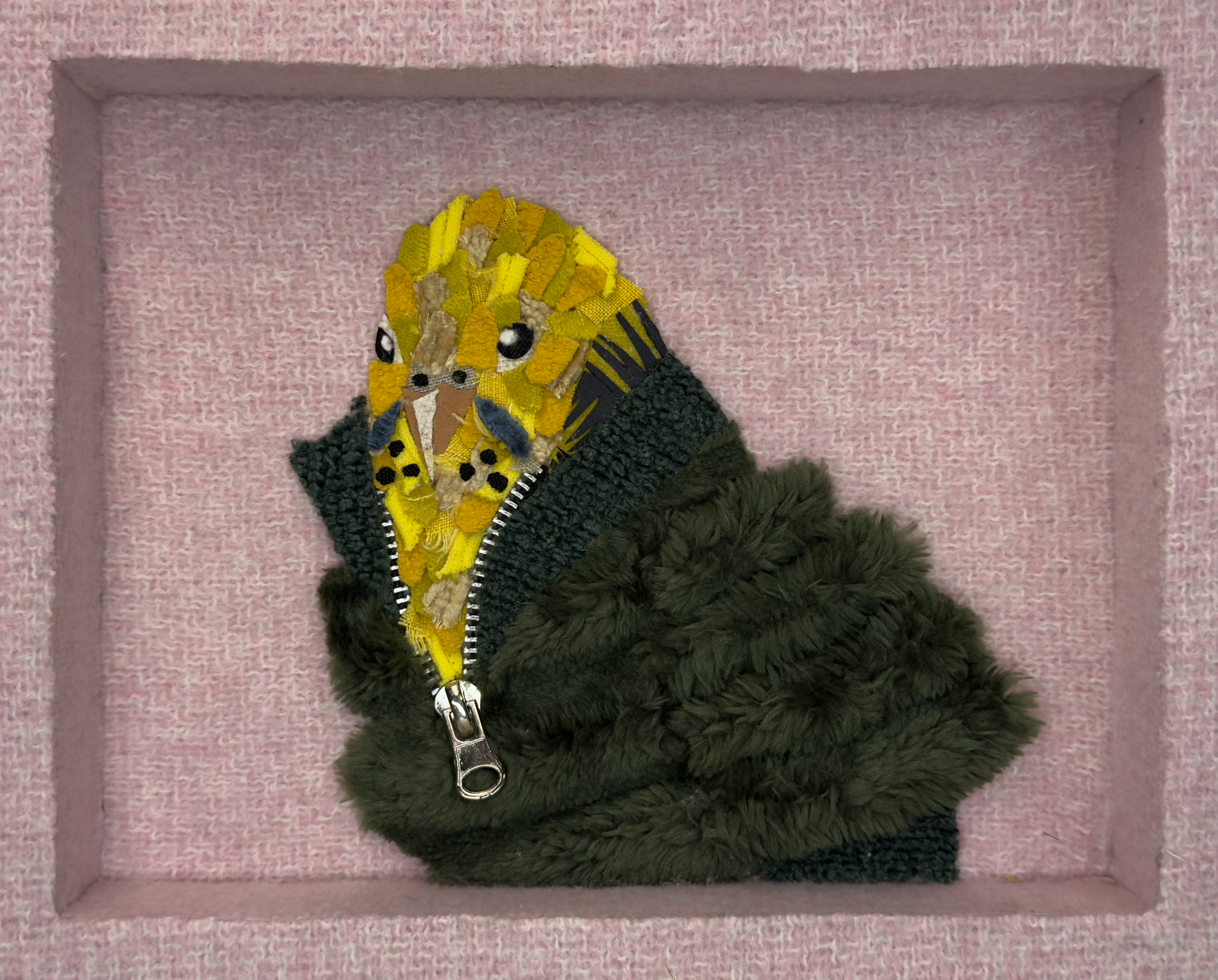 Winter Budgie 1