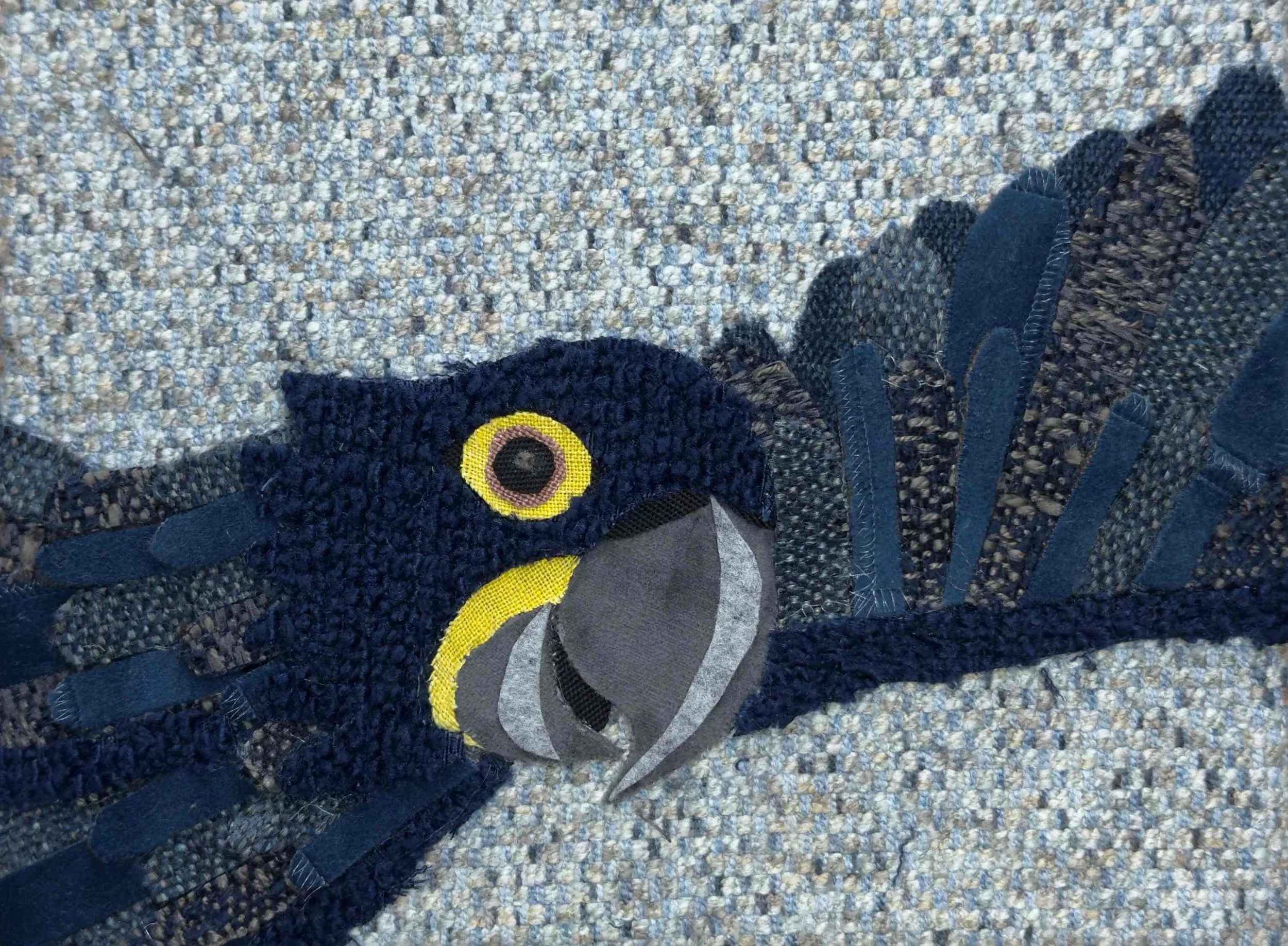 Blue Macaw