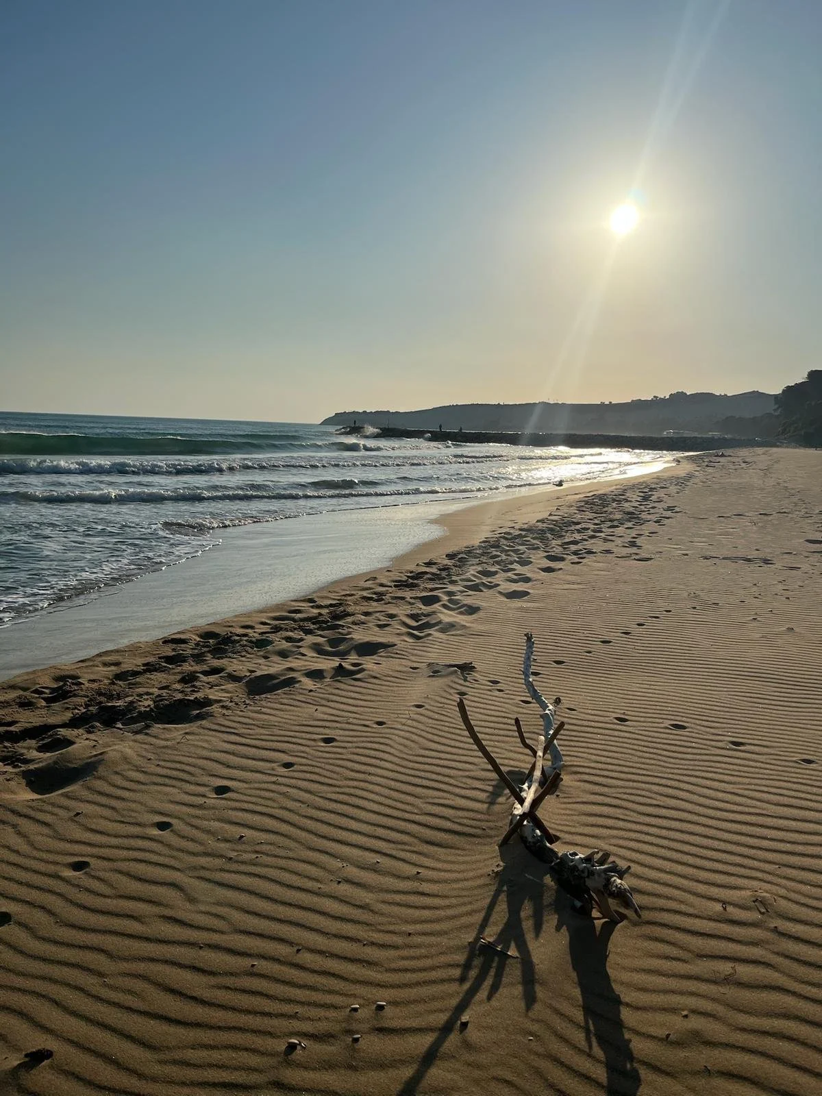 Plage de sable au coucher du soleil avec une branche d'arbre échouée en premier plan, vagues de mer en arrière-plan et le soleil brillant dans le ciel.