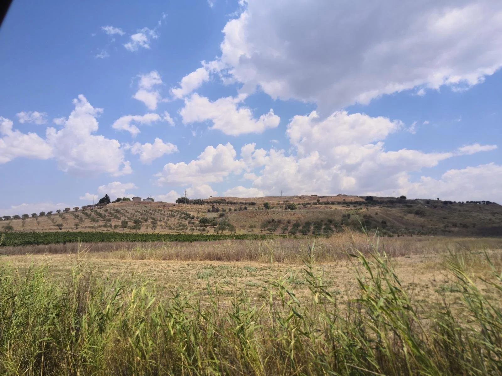 Paysage rural avec une colline, des champs de blé, et un ciel partiellement nuageux.