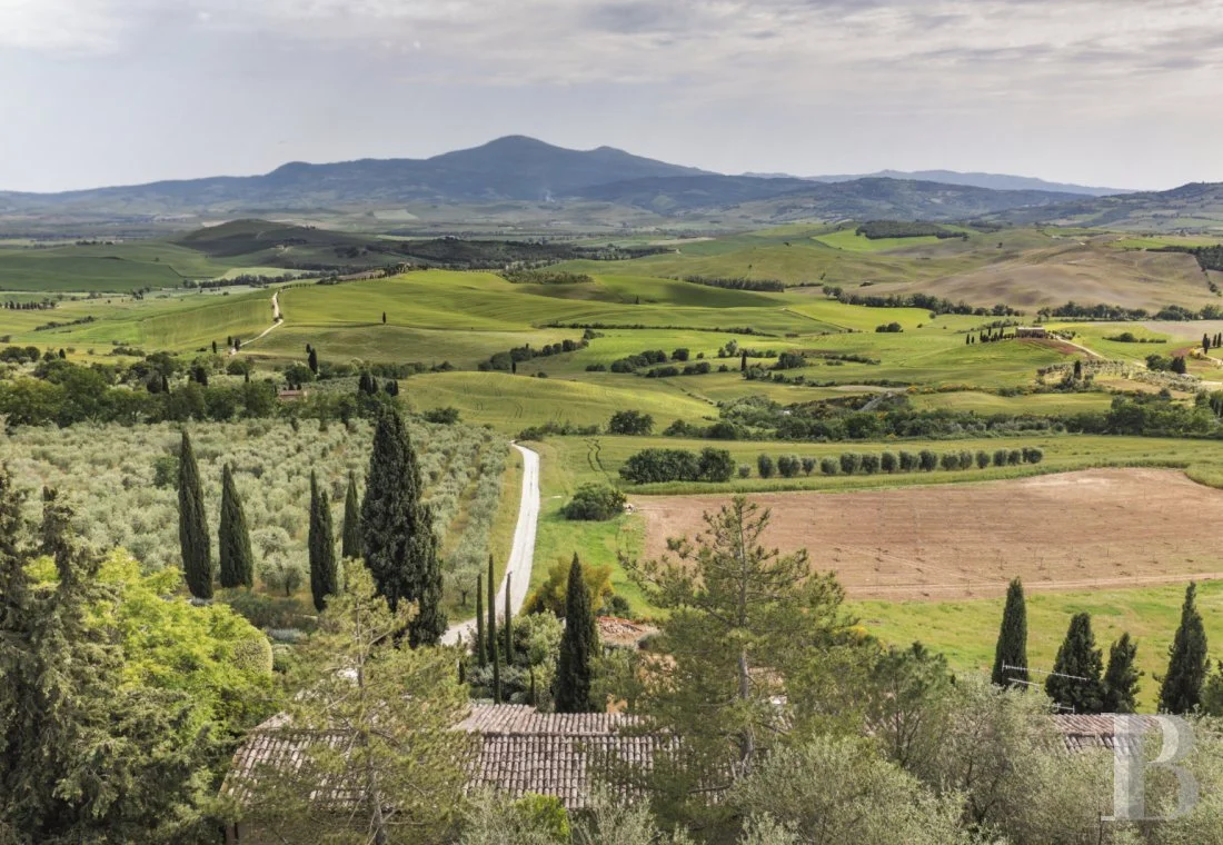 Paysage rural avec collines verdoyantes, une route sinueuse, des champs cultivés, et des arbres, avec une montagne au fond.