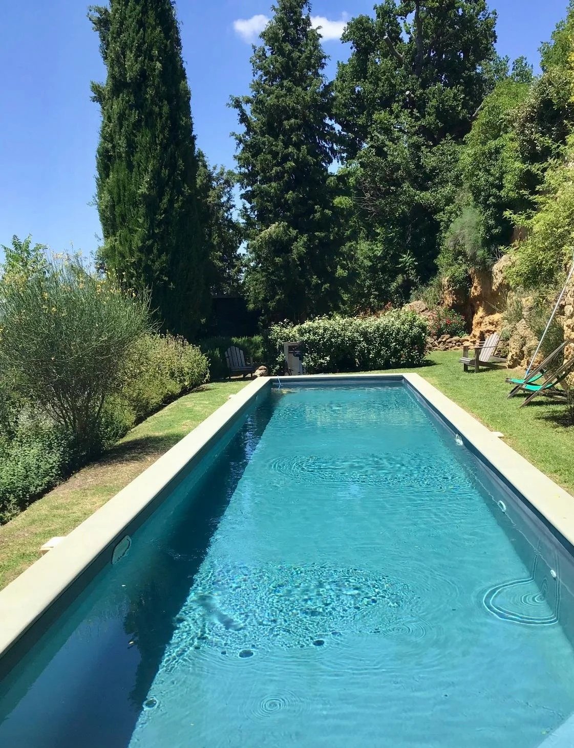 Piscine rectangulaire dans un jardin verdoyant avec des arbustes et des arbres. Ciel bleu en arrière-plan.
