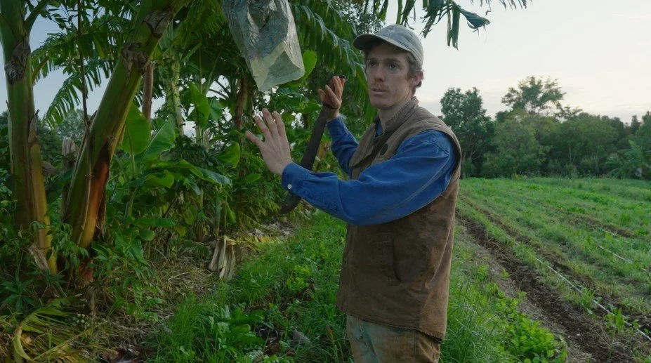 Agroforestry Workshop — Pruning for Production and Ecology