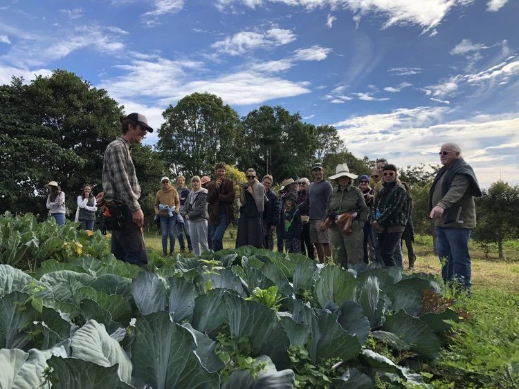 Farm Walk—How We Grow