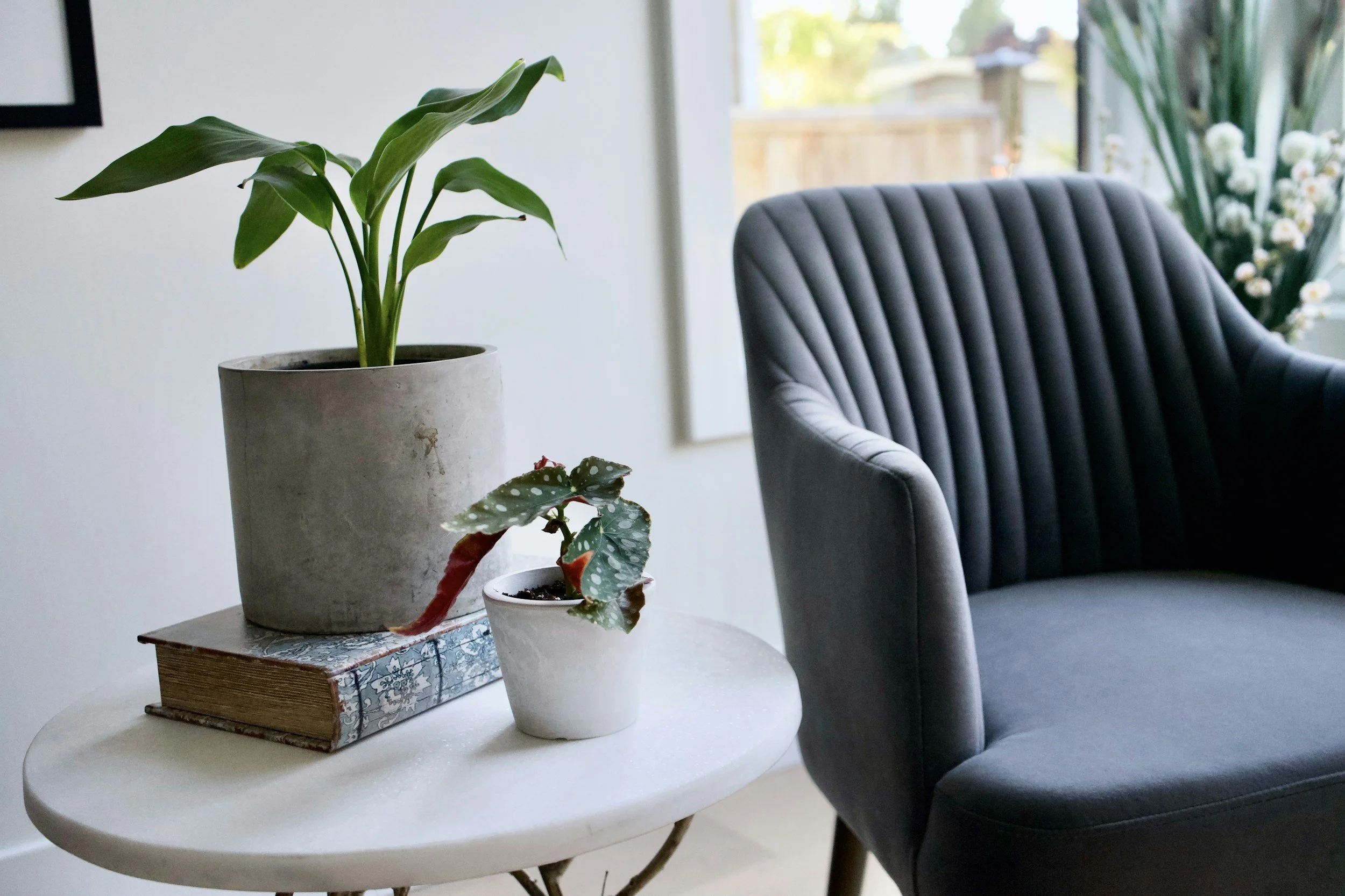 Indoor scene with a white round table holding two potted plants, one large and one small, next to a dark gray upholstered armchair near a window with a view of a wooden fence and greenery outside.