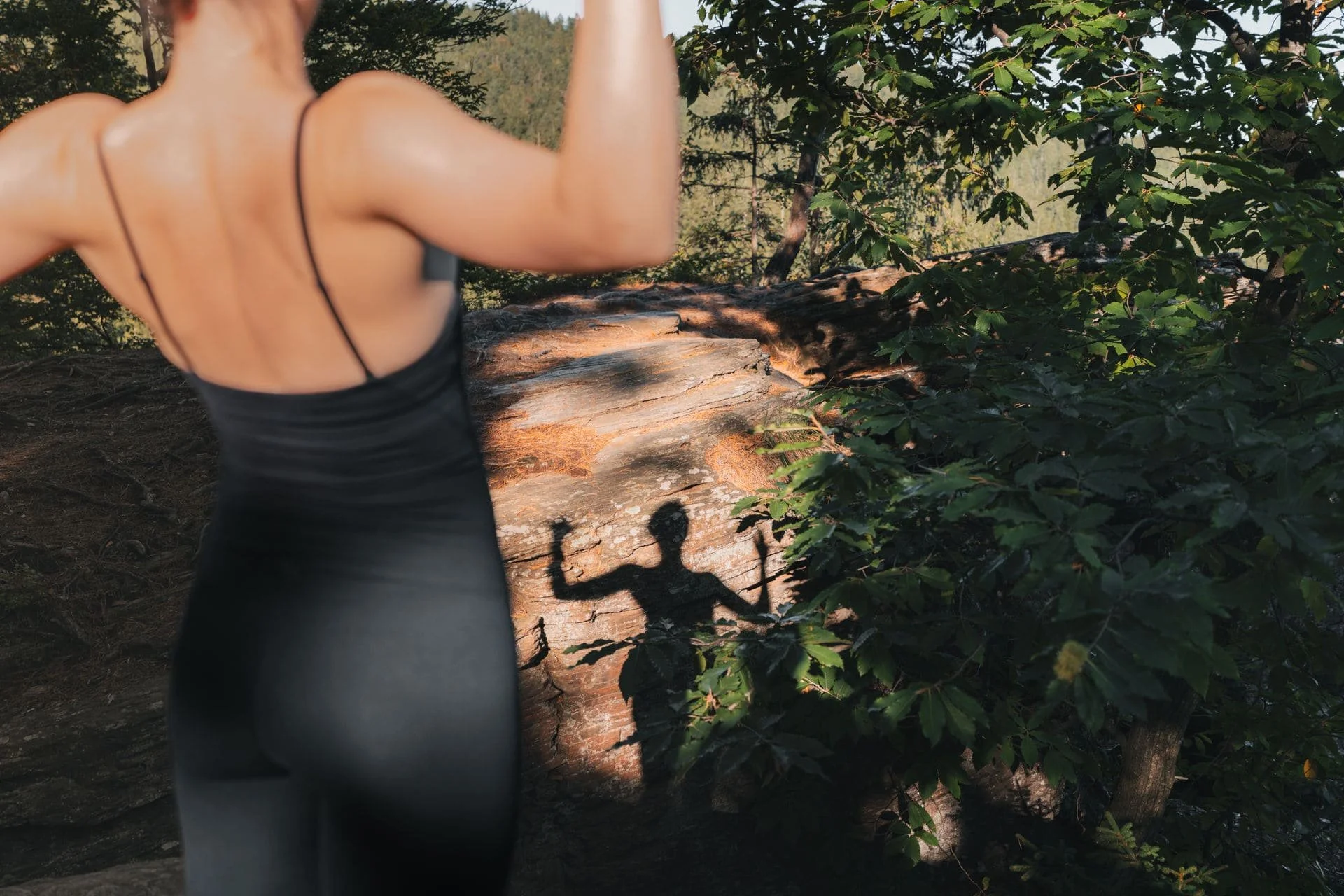 Die Schatten einer Frau, die Yoga macht, sind auf einem Baumstamm in einem Wald zu sehen.