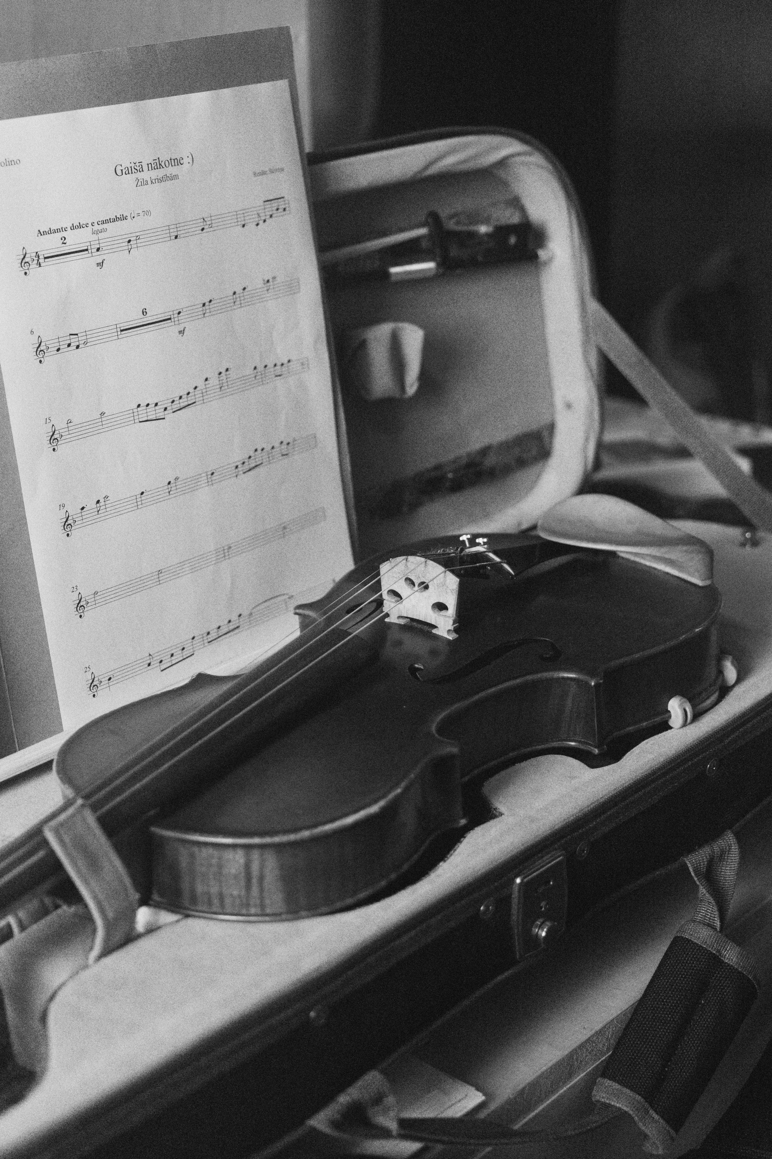 Violon avec une partition musicale à côté, dans une boîte rigide, avec un piccolo et d'autres objets.