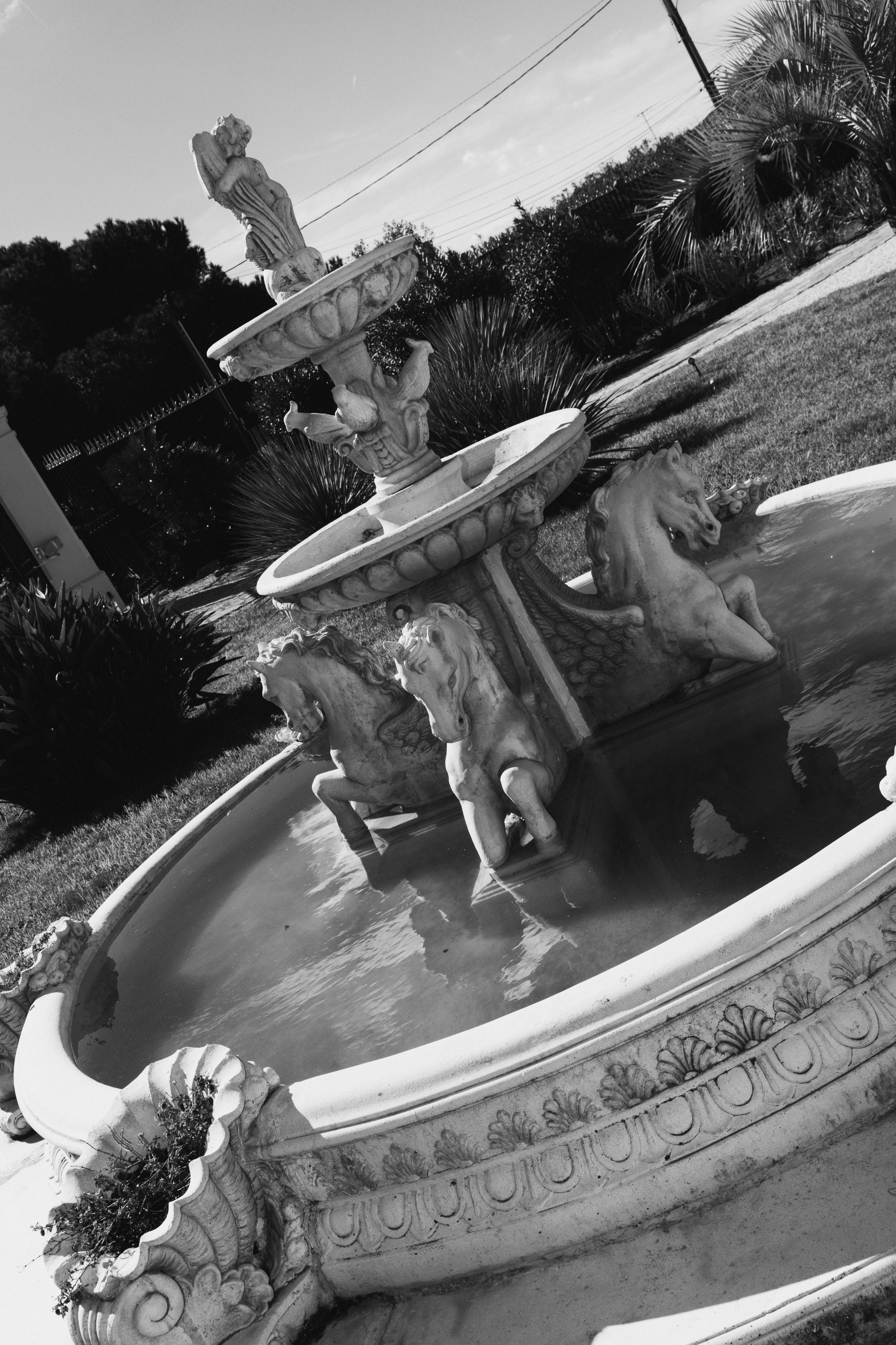Cavalière_08-2026-1-15.jpg
