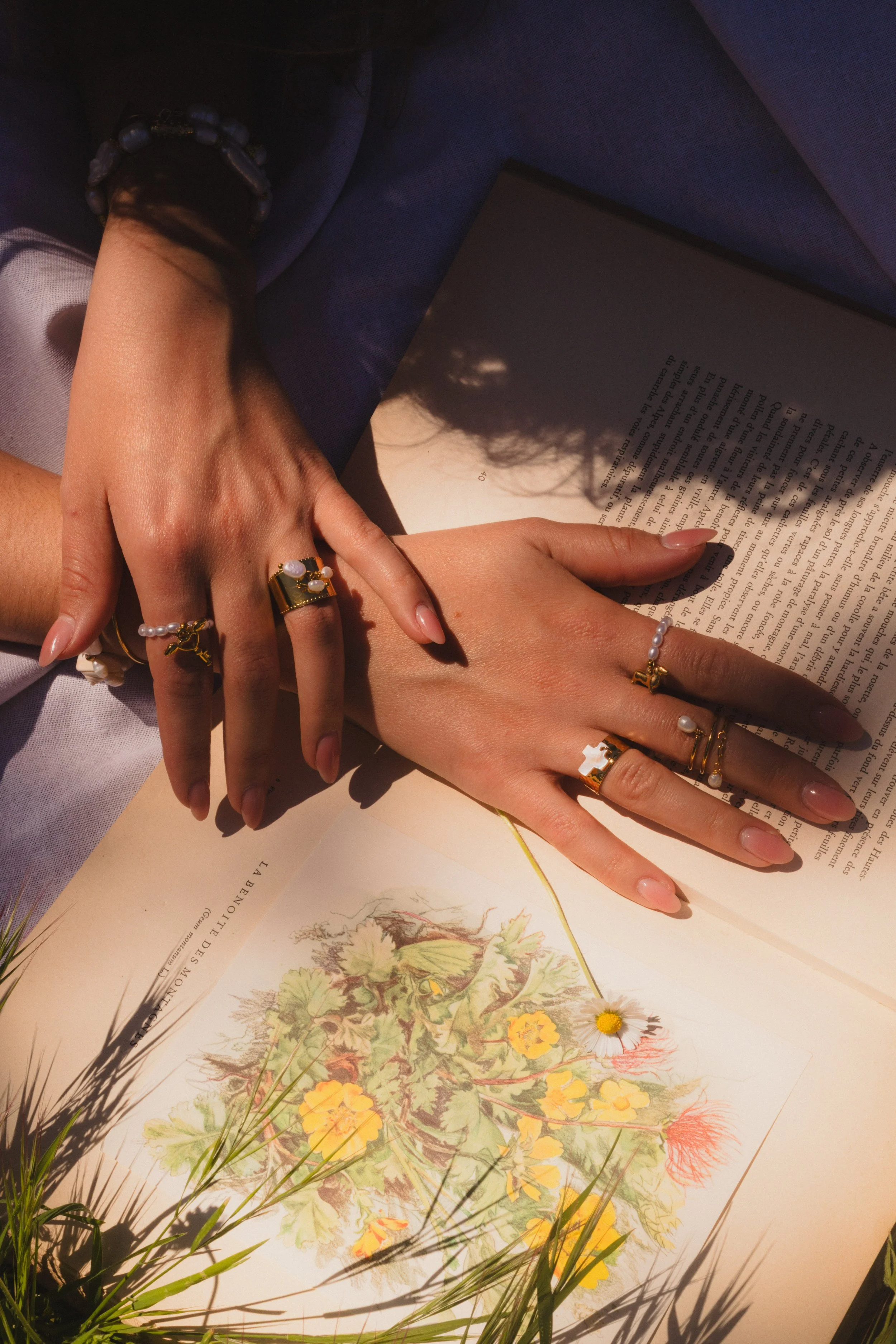 Mains féminines avec plusieurs bijoux portant des bagues et un bracelet, posées sur un livre ouvert avec une illustration de fleurs et de feuilles, en lumière naturelle.