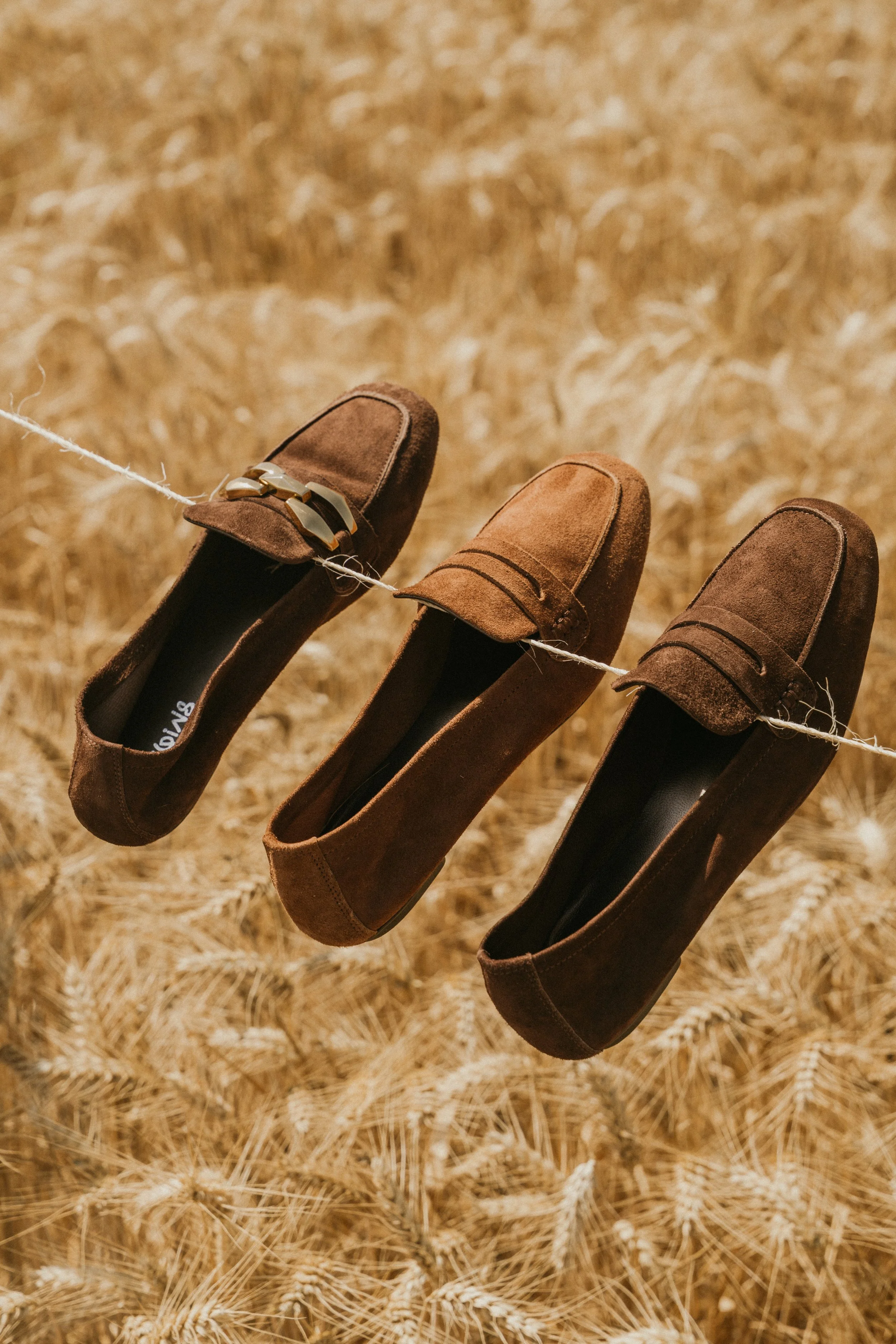 Trois paires de chaussures en cuir ou en daim de couleur marron sont suspendues par une corde dans un champ de blé