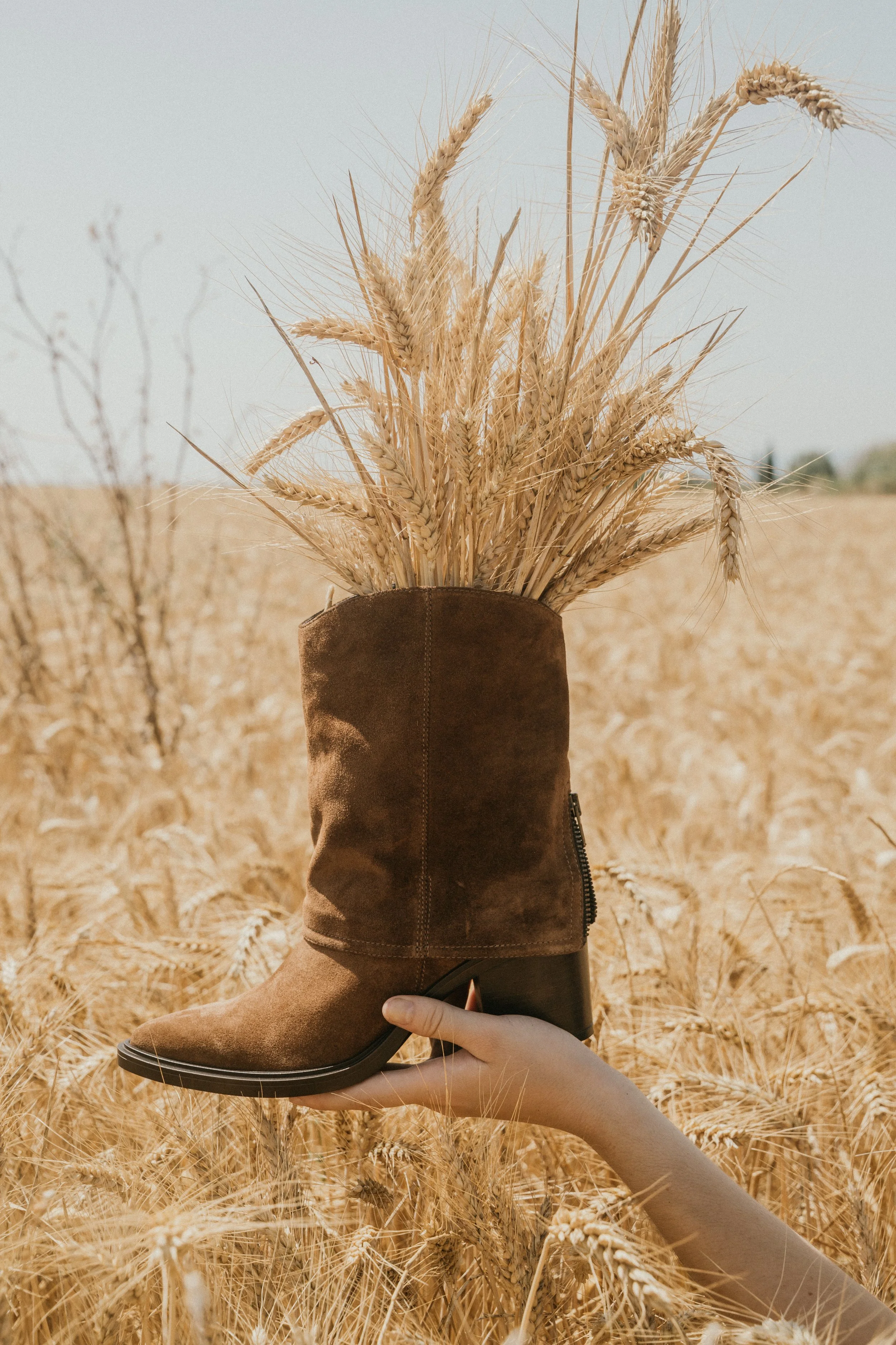 Une botte en cuir marron contenant des épis de blé, tenant d'une main dans un champ de blé doré sous un ciel clair.