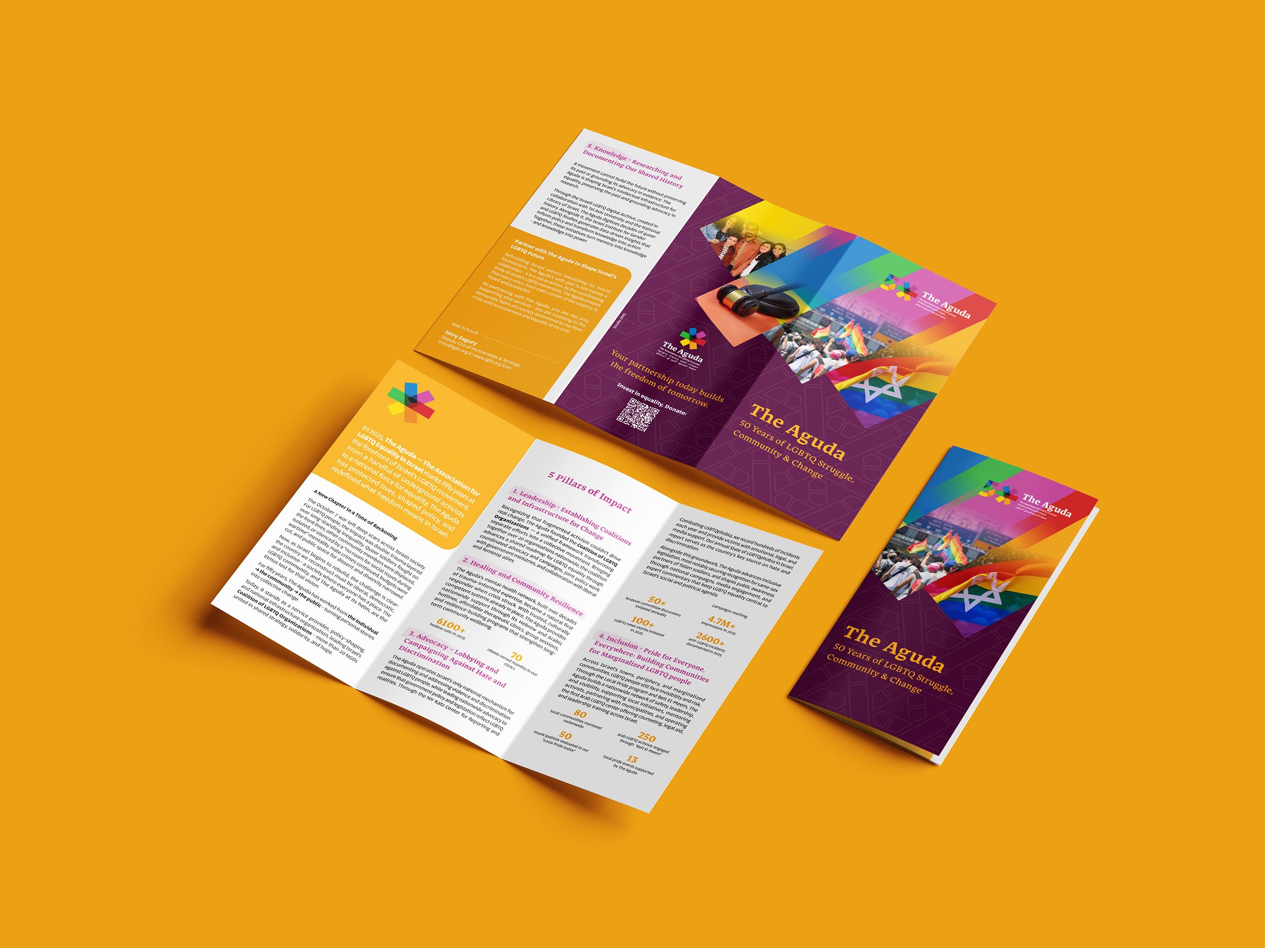 DL_Trifold_DL_Flyer_Mockup_3 OMG LR.jpg