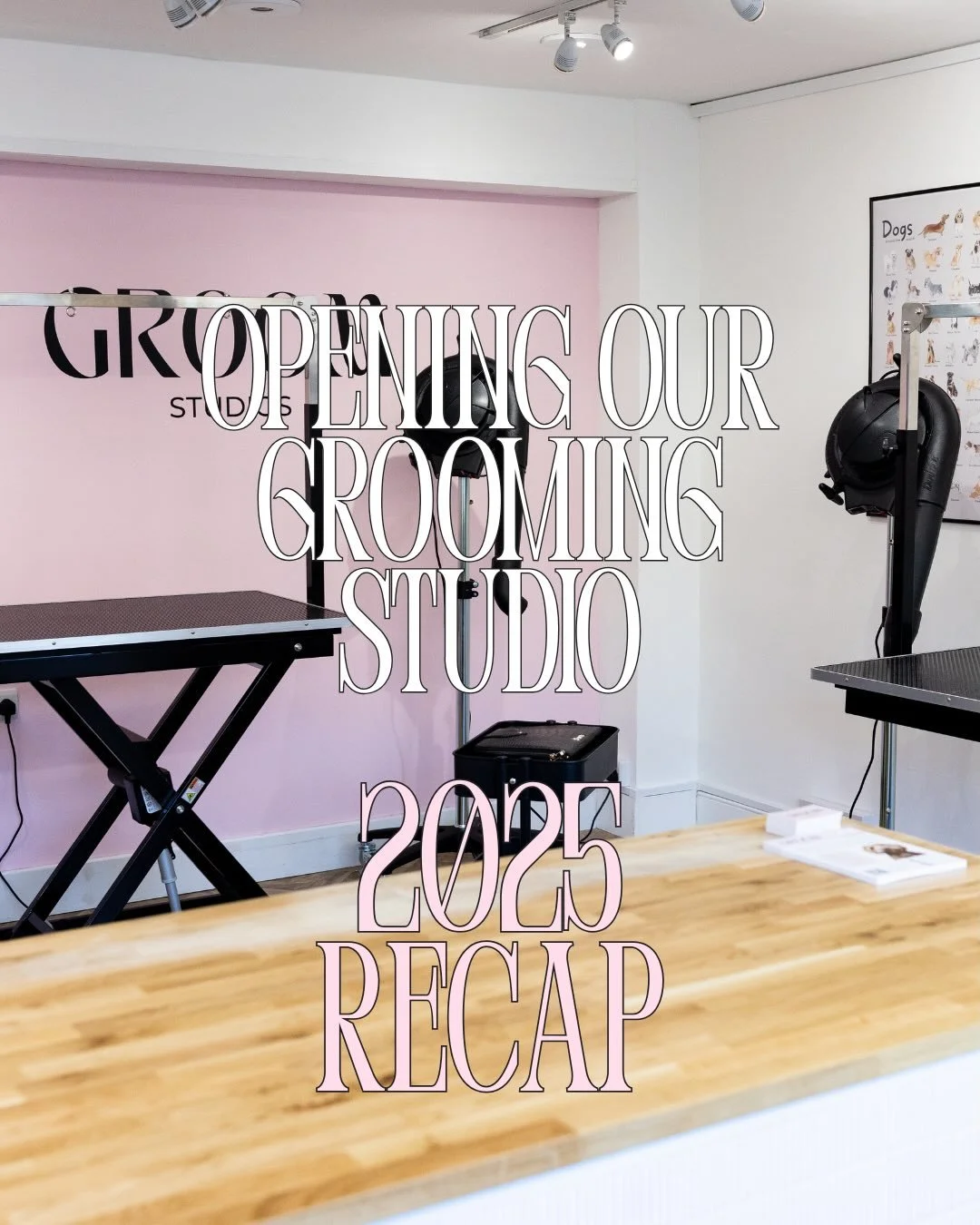 After losing out on 3 other shops, we took on a lease in the summer for an old bike shop that was in desperate need of a glow up 🔨  It definitely kept us up at night and we had just 3 months to renovate, rebuild and turn it into Groom Studios and so