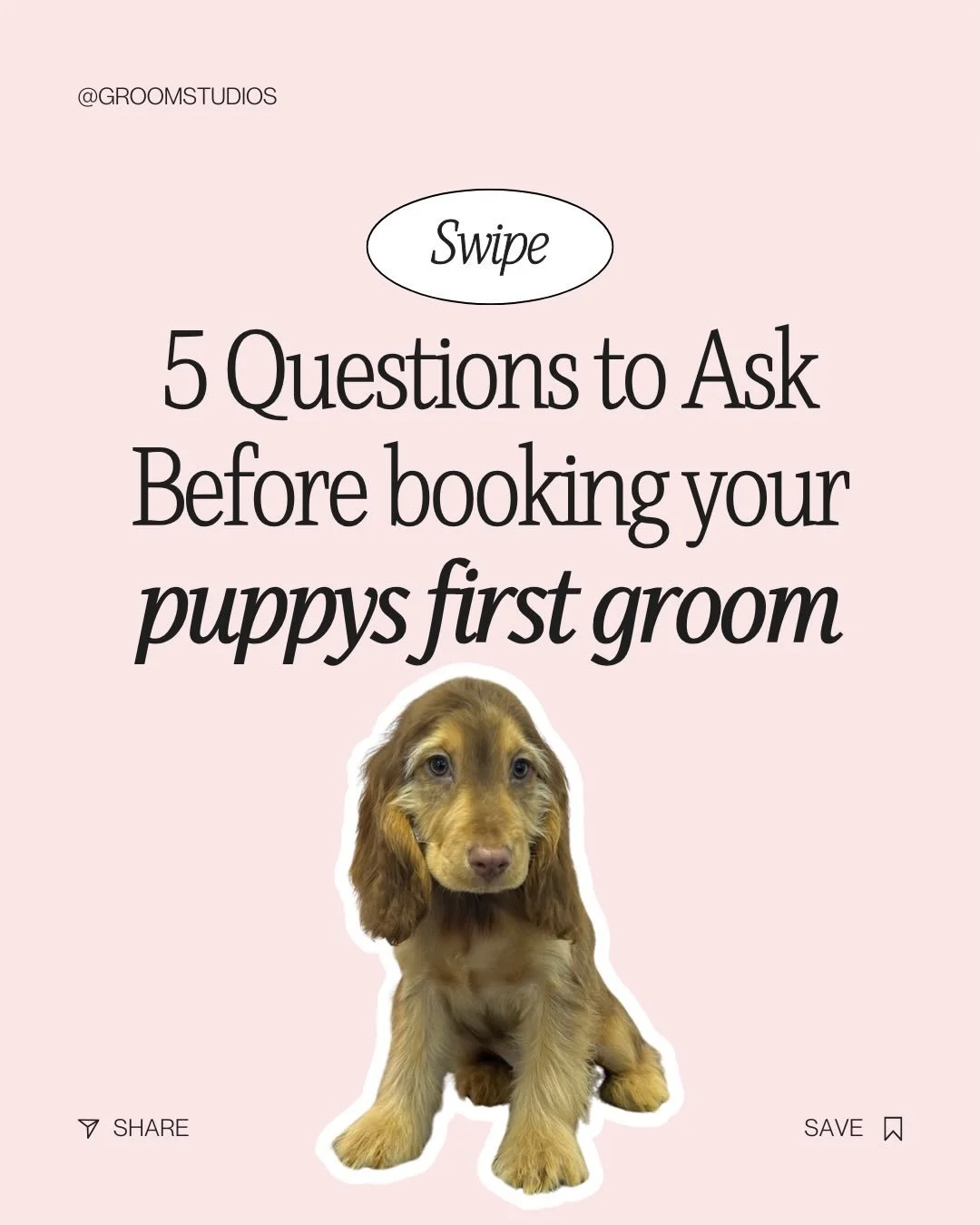 Hey puppy parents, we get it. Your pup&rsquo;s first groom can feel a little intimidating (for you and them!) 😩
💁🏼&zwj;♀️We&rsquo;re three gals who&rsquo;ve spent years helping wiggly, squirmy, &ldquo;I-don&rsquo;t-know-what-this-is&rdquo; puppies