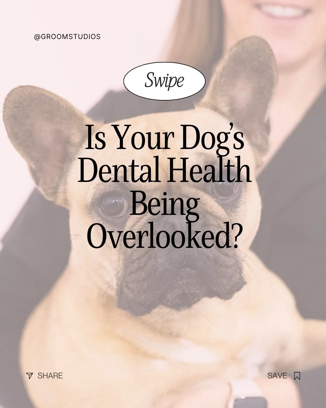 🦷A healthy smile and a happy dog! 🐶 
Did you know that most dogs can&rsquo;t clean their own teeth? Plaque, tartar, and bacteria can build up quickly, leading to bad breath, sore gums, and even dental disease sometimes before they&rsquo;re even two