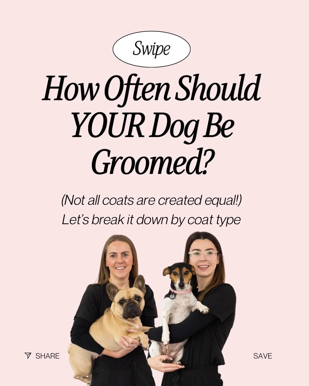 How often should your dog be groomed? 🐶✂️
The answer depends on coat type, lifestyle and skin condition but regular grooming isn&rsquo;t just cosmetic, it&rsquo;s essential for your dog&rsquo;s comfort and health.
From curly coats to short-haired pu