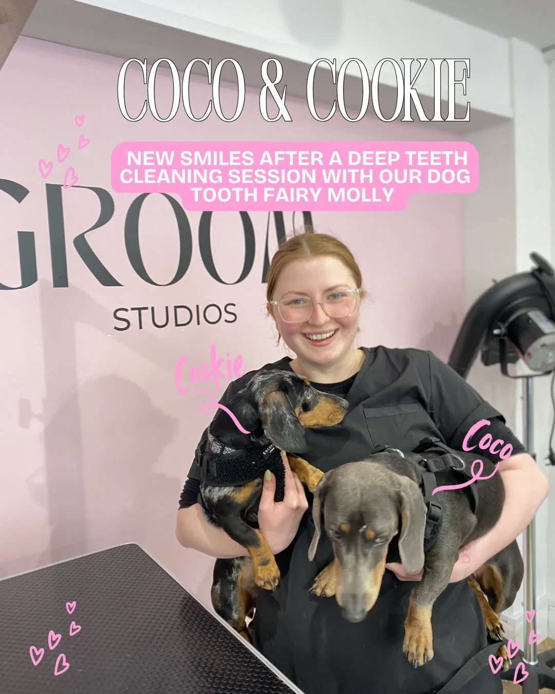 Our dog tooth fairy Molly gave Coco &amp; Cookie a sparkling deep teeth clean this morning 🦷 ✨ 

Do you notice plaque on your dogs teeth? We can help! Our ultrasonic deep teeth clean gets into the tiniest of mouths to remove plaque build up and help