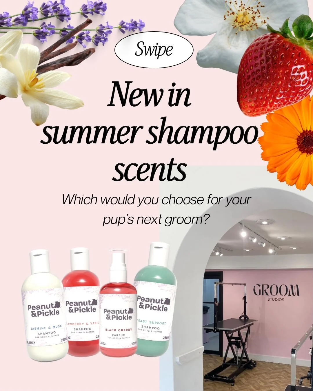 New scents just landed at the salon and we are OBSESSED 😍🐾✨
We&rsquo;re now offering Strawberry &amp; Vanilla 🍓, Jasmine &amp; Musk 🌸, Black Cherry 🍒, and Yeast Support 🫧shampoos from Peanut &amp; Pickle!

Not only do they leave your pup smelli
