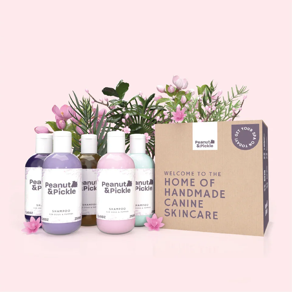 Set of four bottles of Peanut & Pickle canine shampoo in purple, brown, pink, and light blue, along with a gift box labeled 'Welcome to the home of handmade canine skincare' and decorated with pink flowers and green leaves.