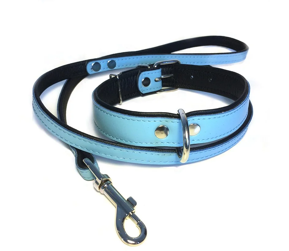 Chic Blue Leather Dog Collar and Lead Set