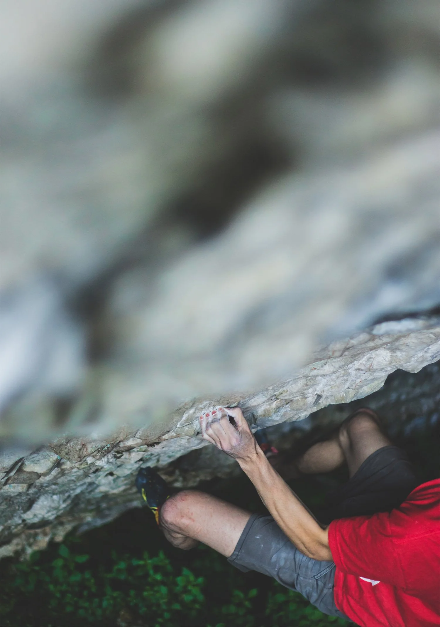 Ego on the Rock: How Comparison Kills Creativity