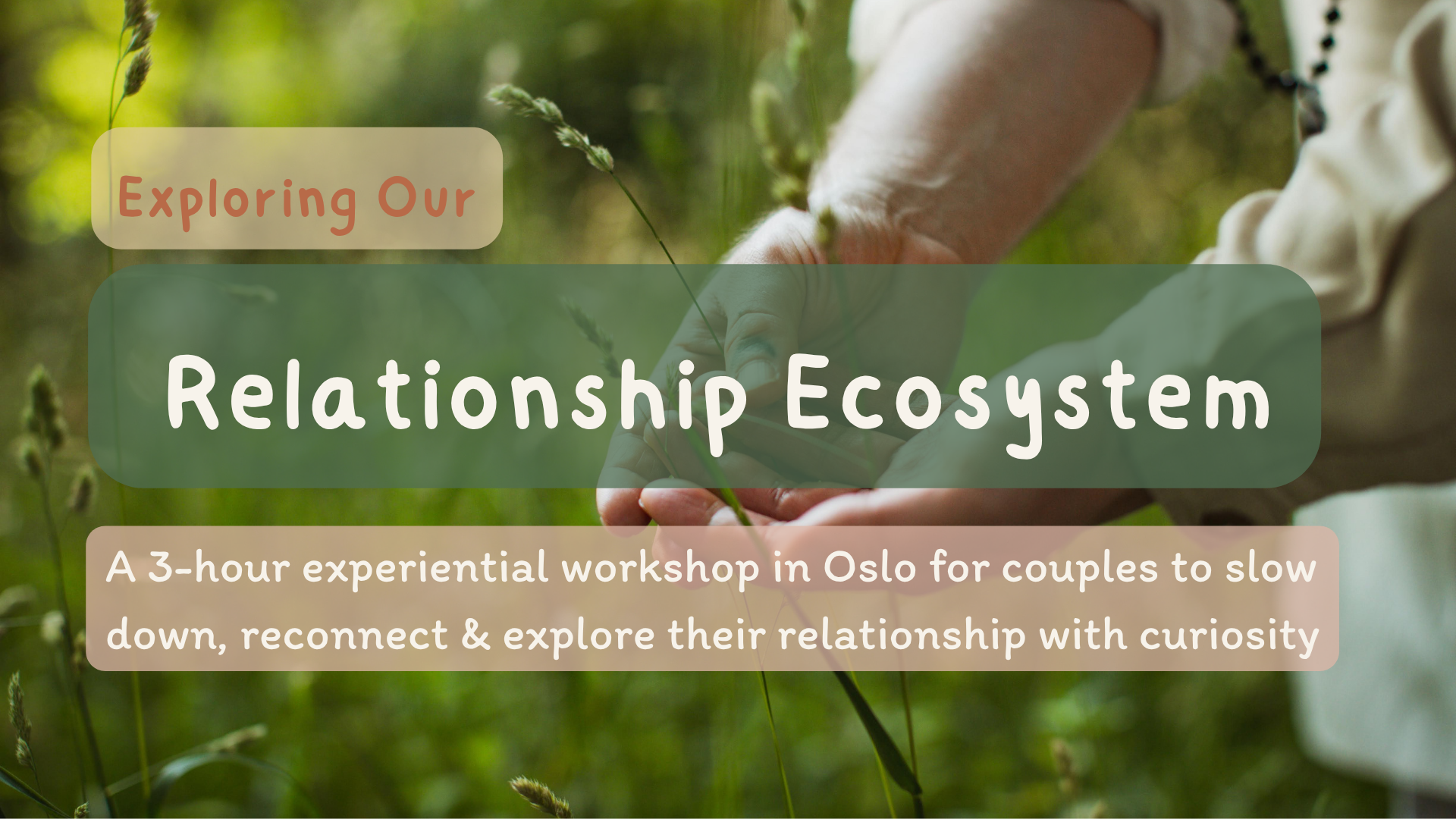 Exploring Our Relationship Garden