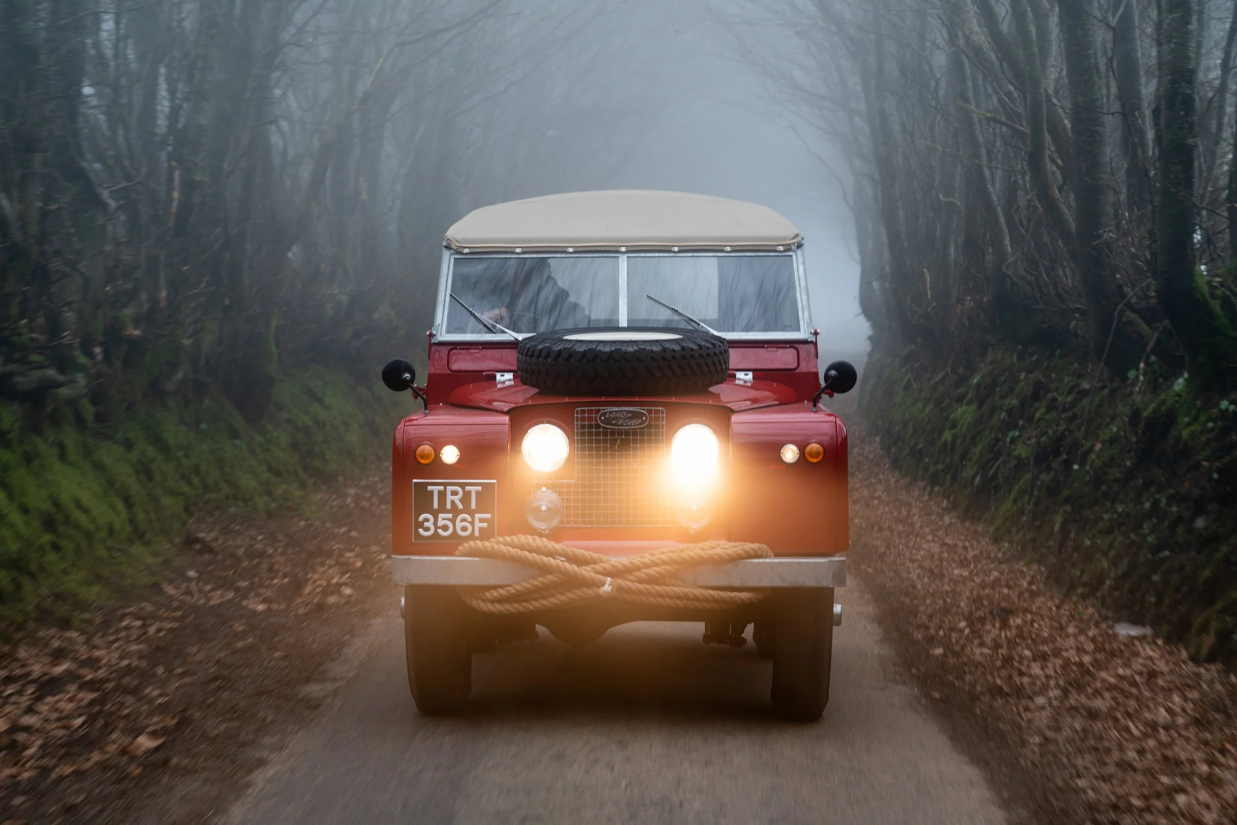 230224-WCTRT-LS-TRT Foggy Tree Cover-LS901648.jpg