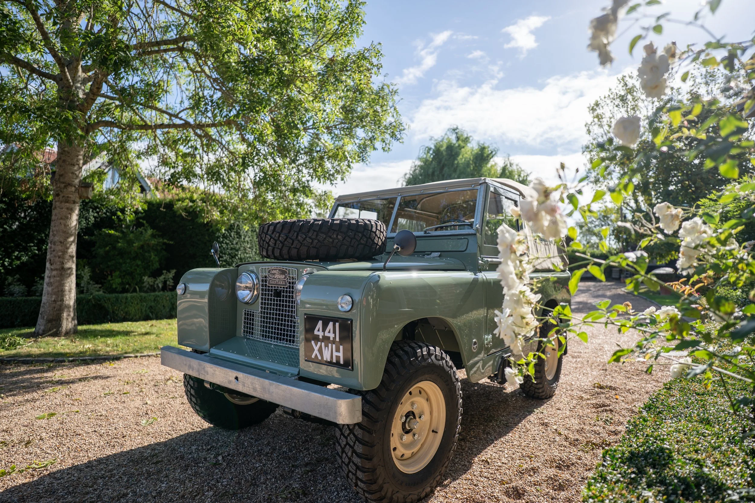 LS901342-HDR.jpg