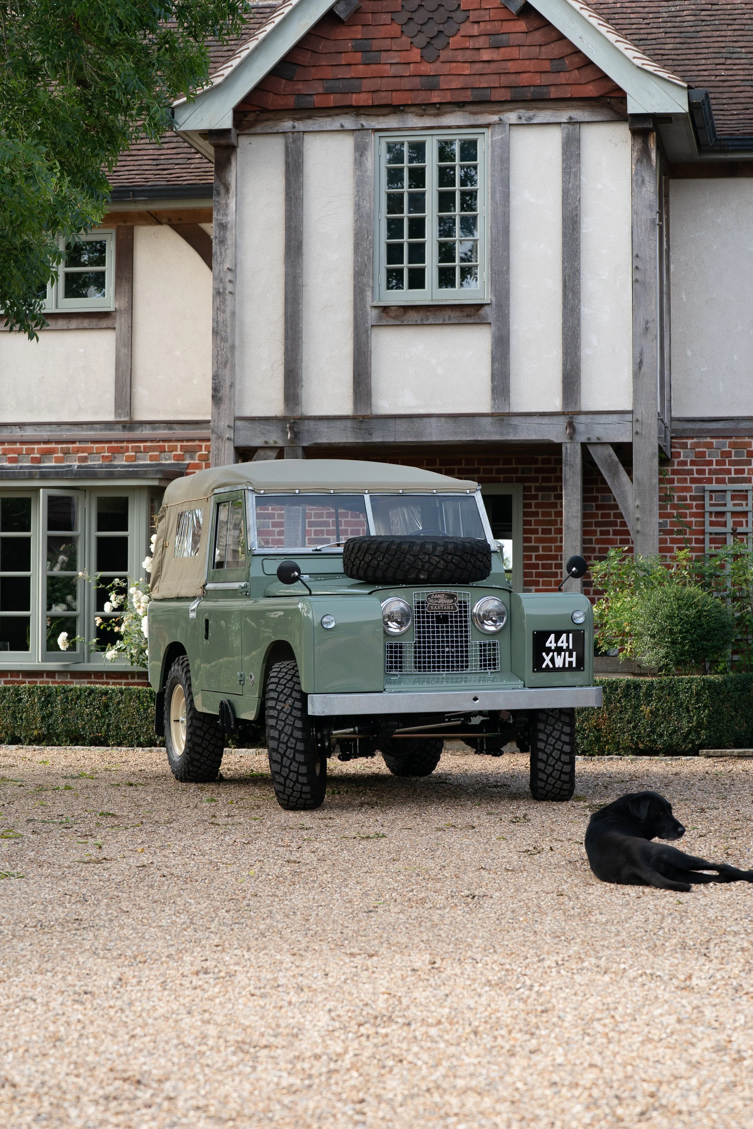 LS900817.jpg