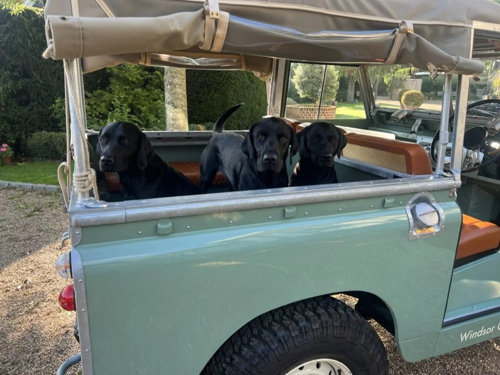 Trip to the lake with the hounds ….