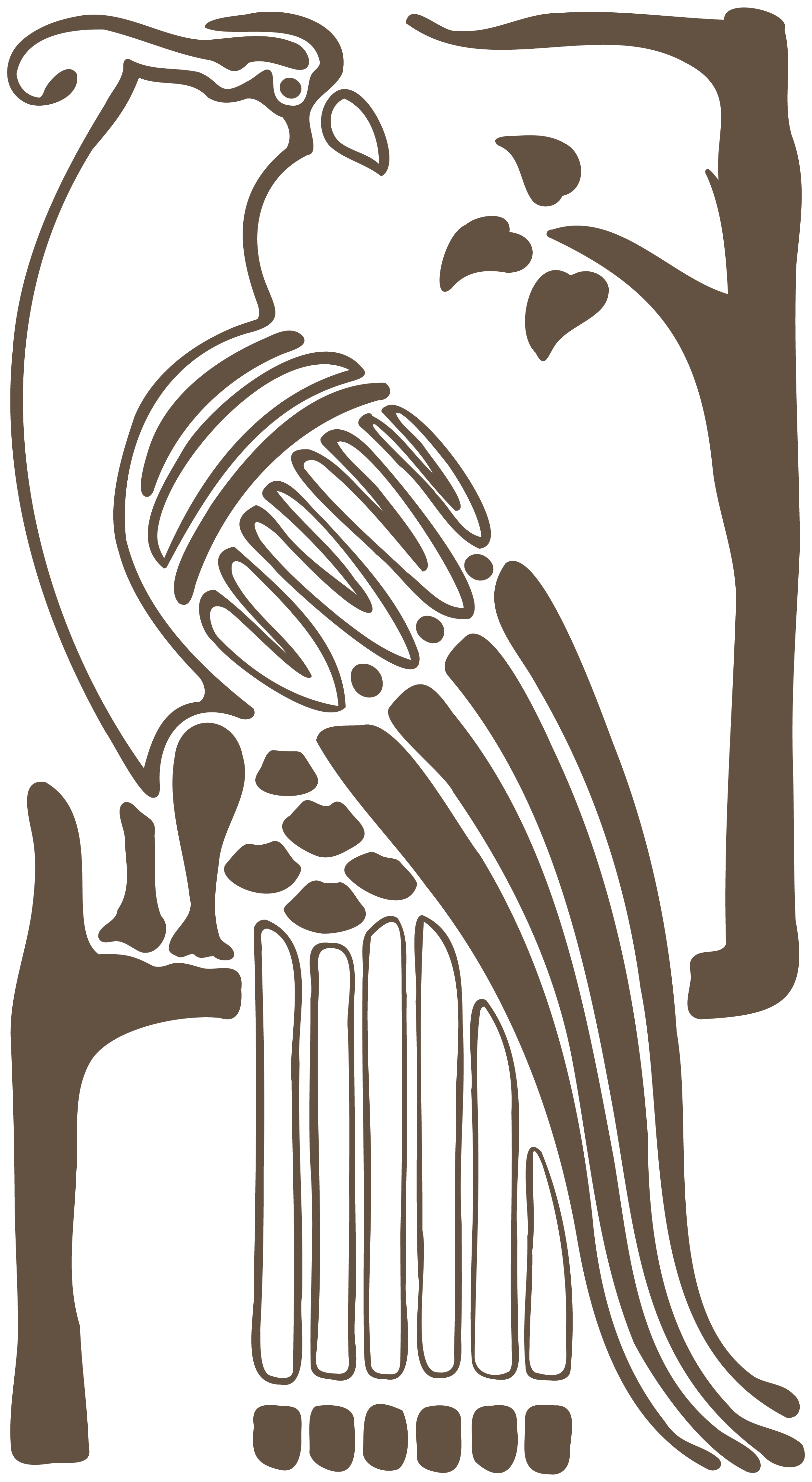 Line art illustration of a human torso including bones, muscles, and organs in shades of brown on a black background.