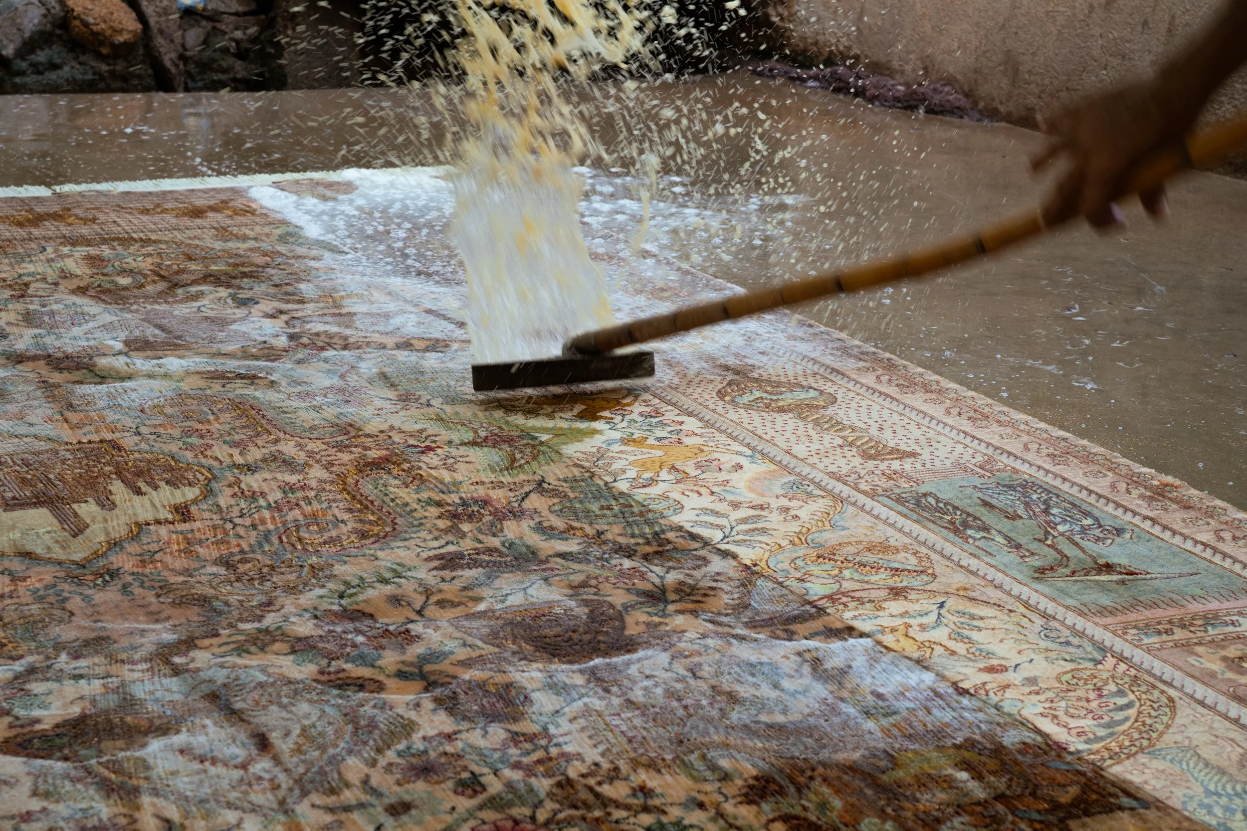 A person cleaning a detailed, ornate area rug with a handheld vacuum or cleaning tool, focusing on cleaning the edge of the rug.