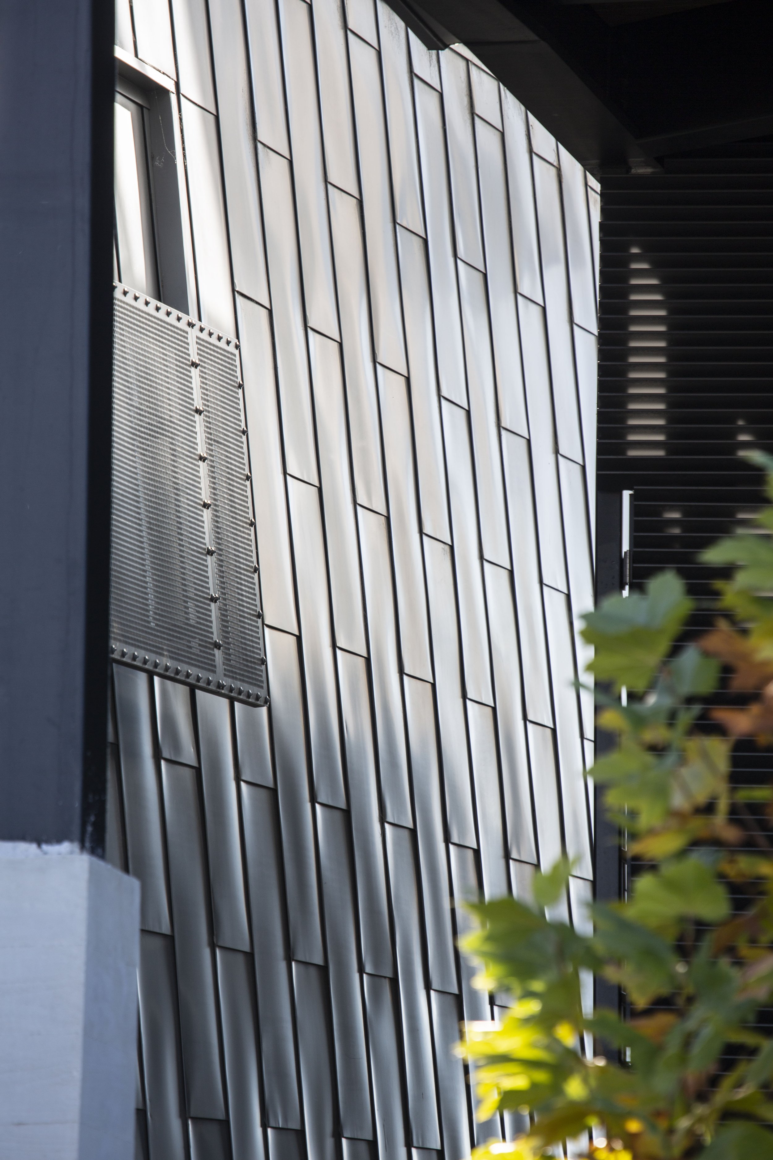 Looking at the shiny metal facade of a building in Queenstown through autumn leave