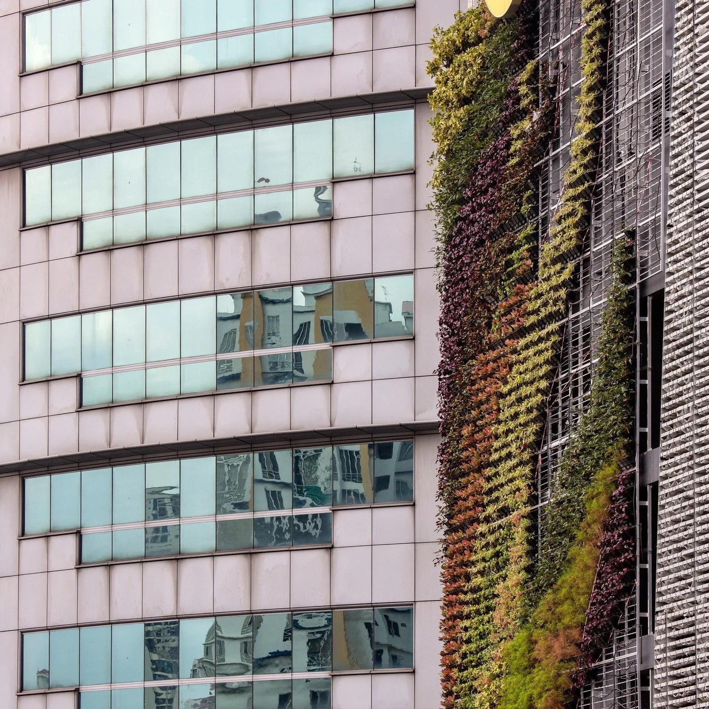 Maybe I should try a vertical wall at home since my indoors plants are unwell 🙁🍃 🌻⁠
⁠
.⁠
.⁠
.⁠
.⁠
.⁠
.⁠
#queenstownphotographer #rsa_minimal #tv_simplicity #soulminimalist #minimalmood #unlimitedminimal #minimalalert #architecture_minimal #gominim