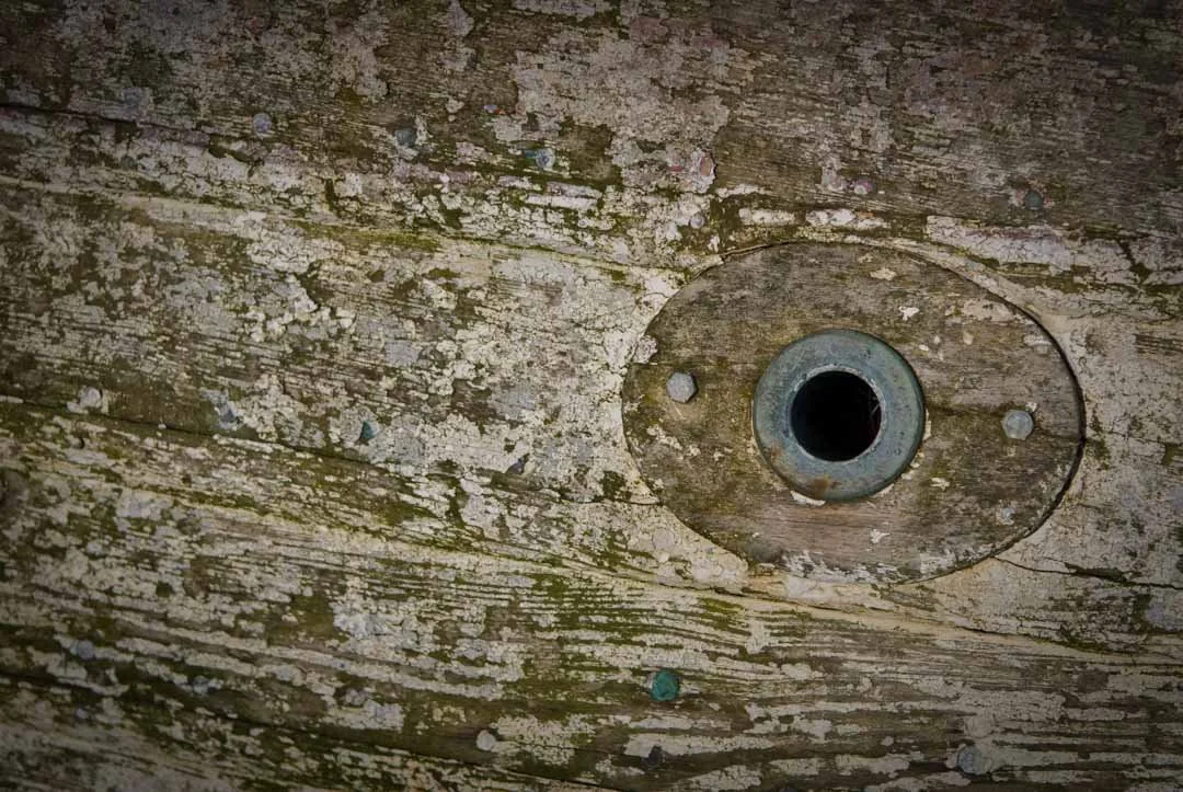 Close-up photo of a weathered wooden surface with a metal screw plate around a screw hole, showing signs of age and moss.