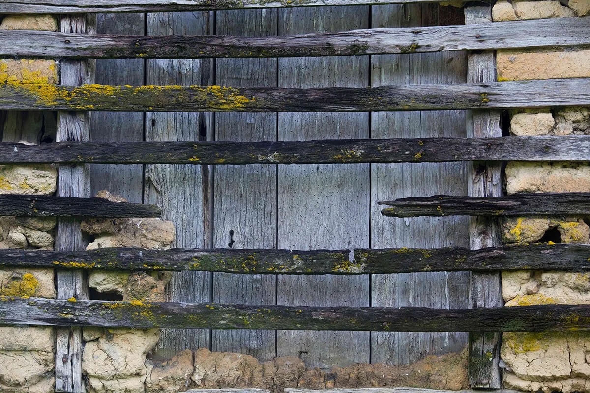 Old wooden gate with horizontal slats and brick walls on either side, some yellow moss growing on the wood.