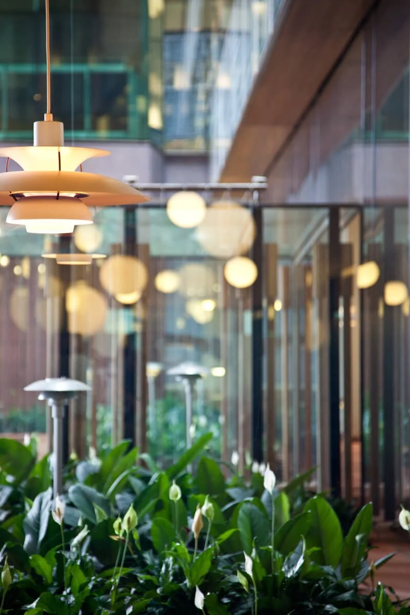 Indoor modern space with hanging pendant lights and green plants near glass walls.