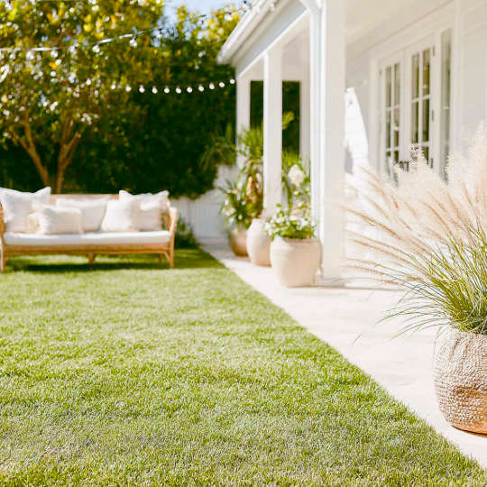 Backyard patio with green grass, a cushioned outdoor sofa, string lights, and potted plants next to a white house.