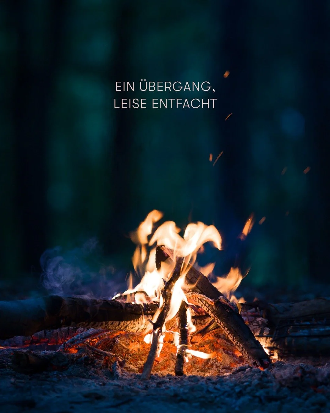 Ein Feuer im Wald, das die Nacht erhellt. 🔥🌲

Die Walpurgisnacht steht f&uuml;r den &Uuml;bergang vom Fr&uuml;hling in die warme Jahreszeit. 

Fr&uuml;her wurden in dieser Nacht Feuer entz&uuml;ndet, um den Winter zu verabschieden und den neuen Abs