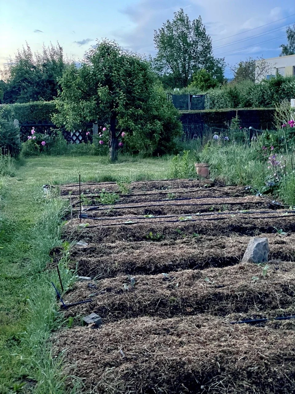 Groß (IMG_9547 2).jpeg