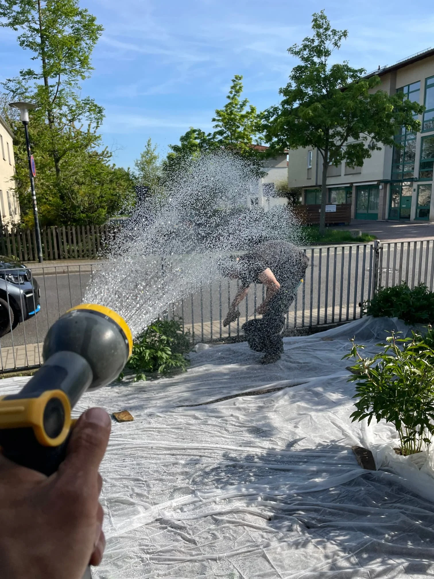 Spaziergang im April: Essbare Hecken, Marienkäfer &amp; laufende Pflanzen