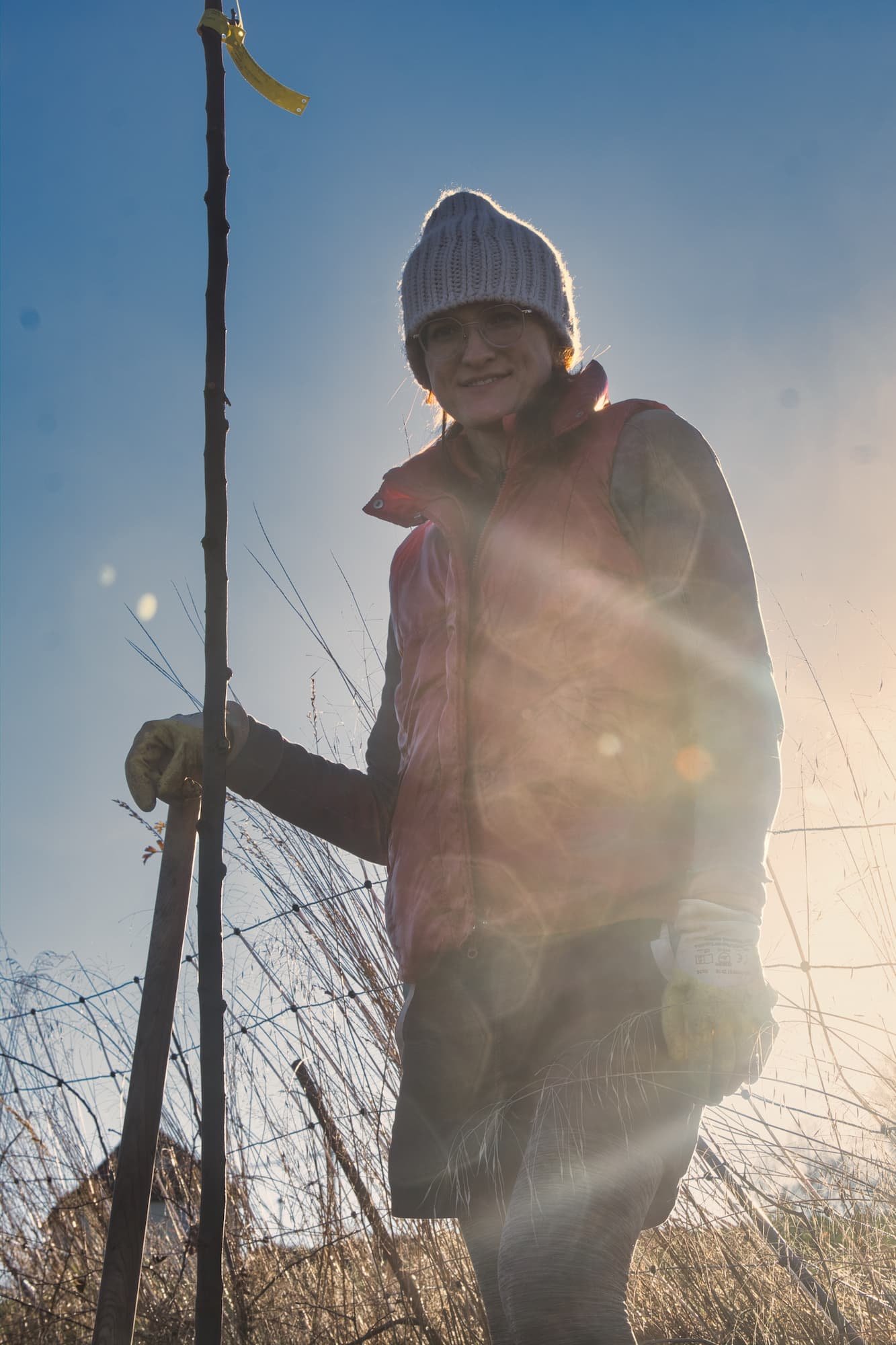 Natascha Hero Vimaana Garten Streuobstiese Ausgleichspflanzung Kreischa 4.jpg
