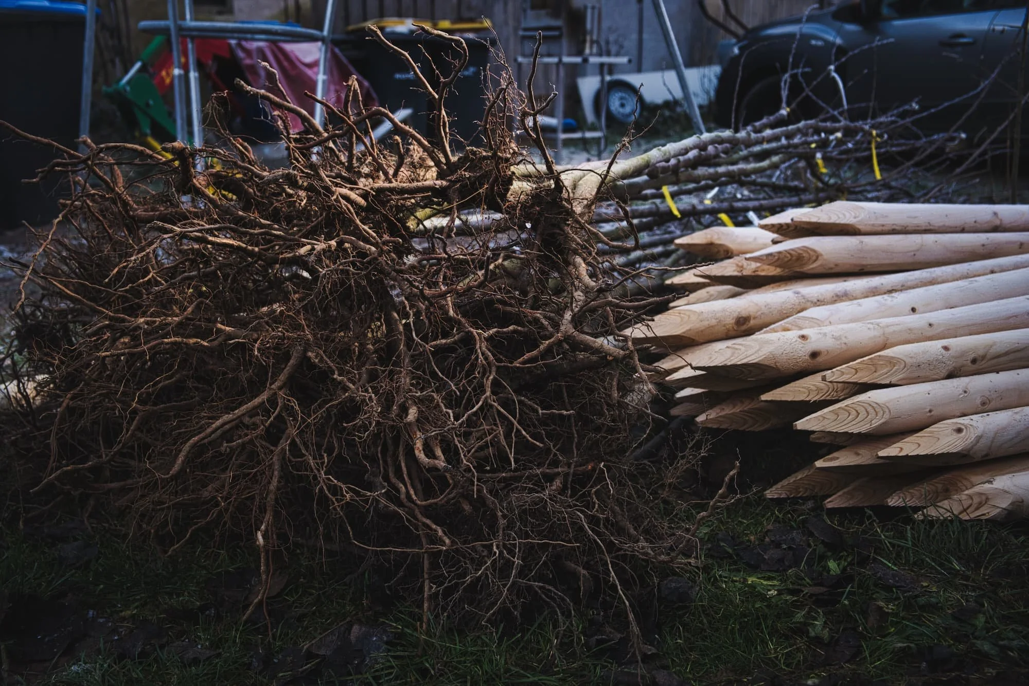 Ausgleichspflanzung Streuobstwiese Wurzeln und Pfähle Vimaana Garten.jpg
