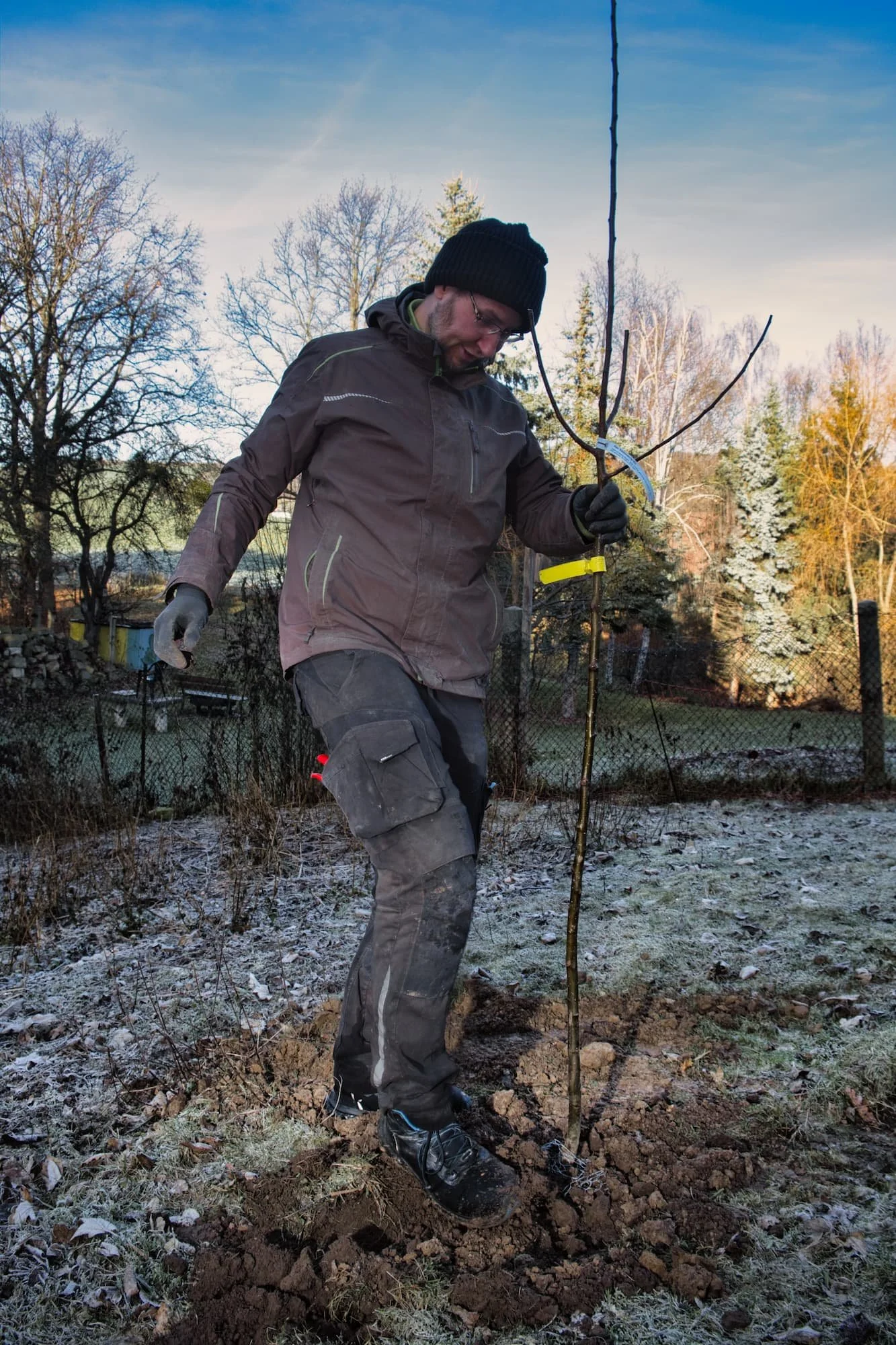 Volker Croy Baumpflanzung Ausgleichspflanzung Streuobstwiese Kreischa Vimaana Garten 1.jpg